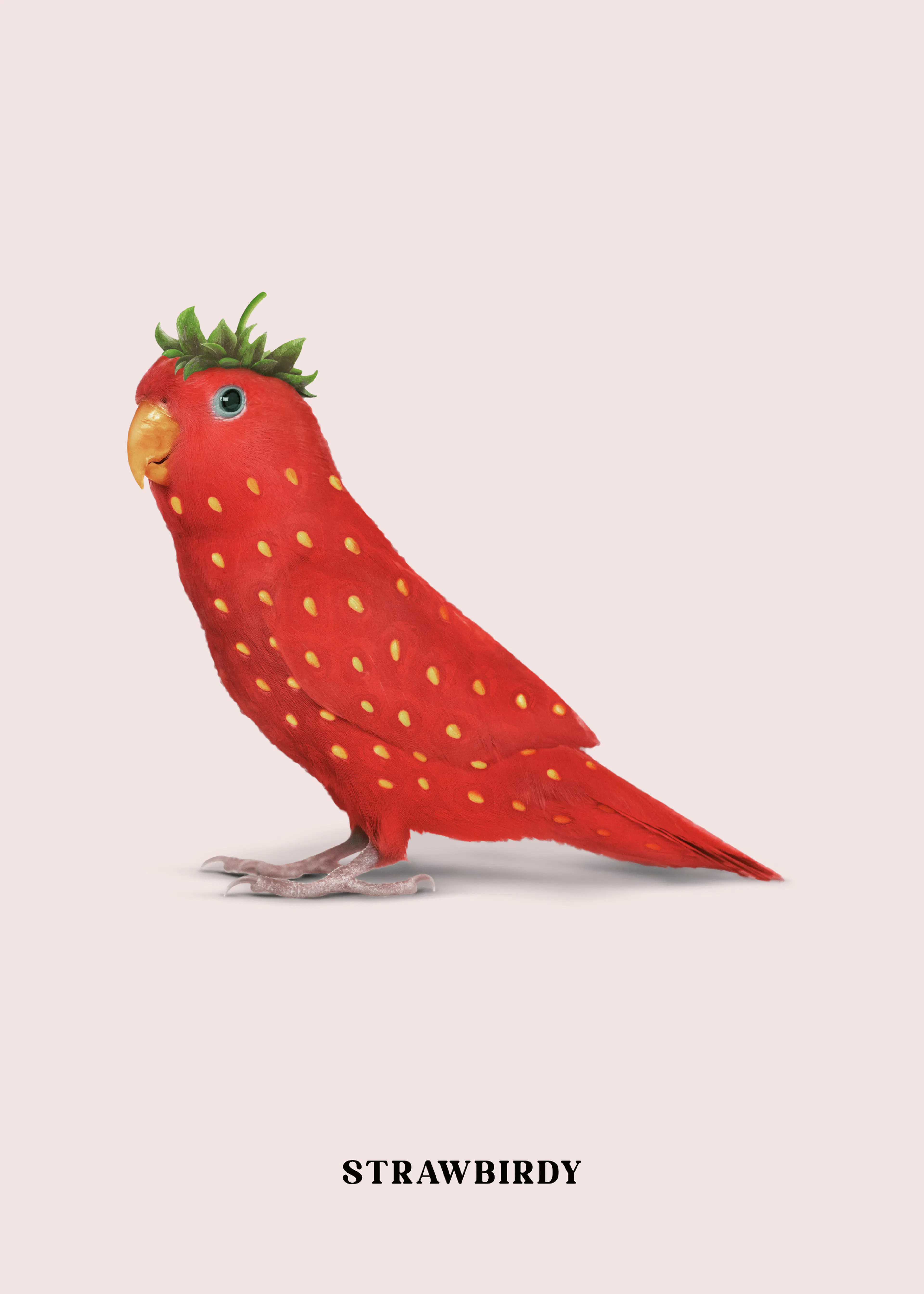 Jonas Loose - Strawbirdy Affiche 0