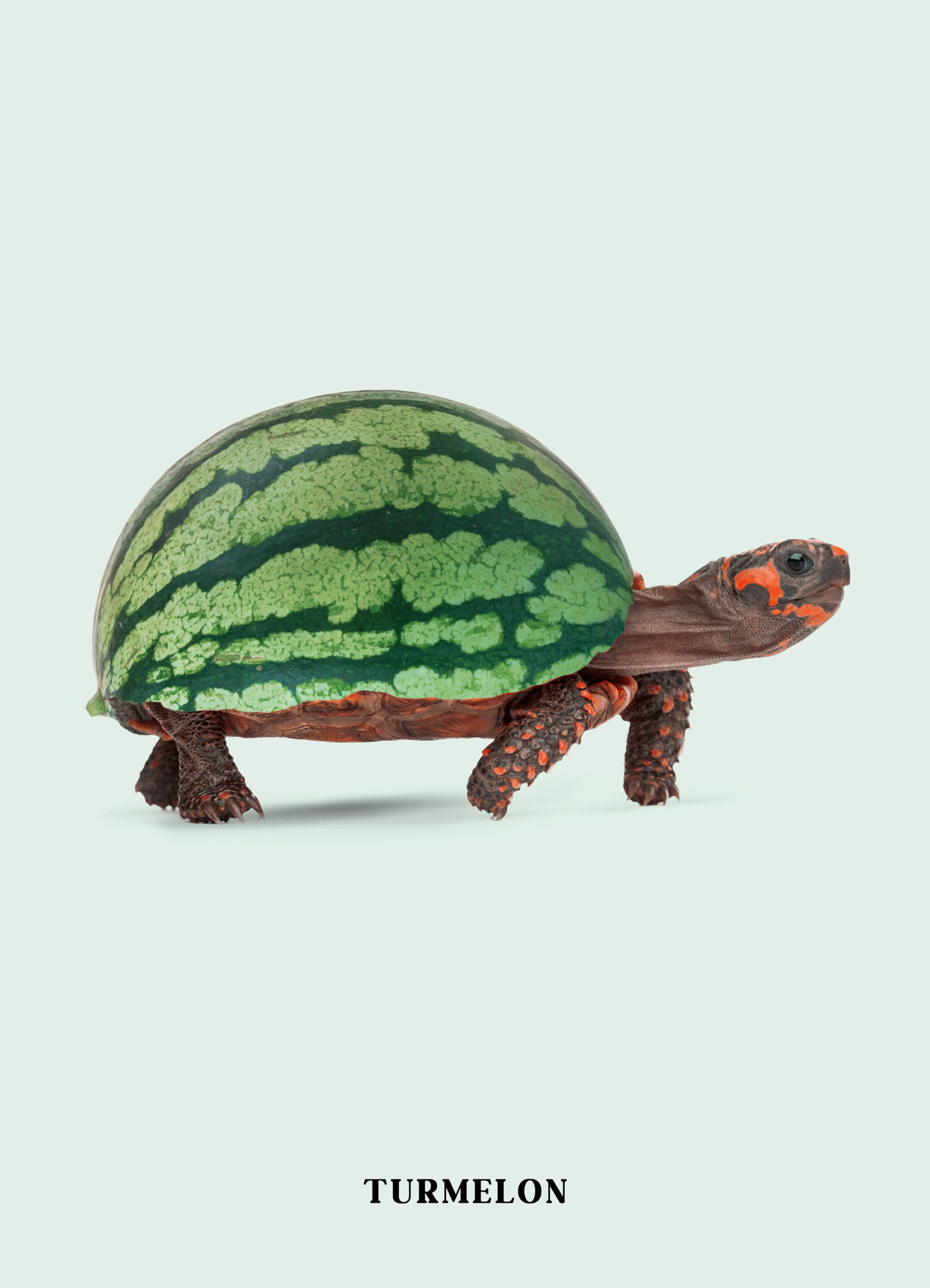 Product image: 1