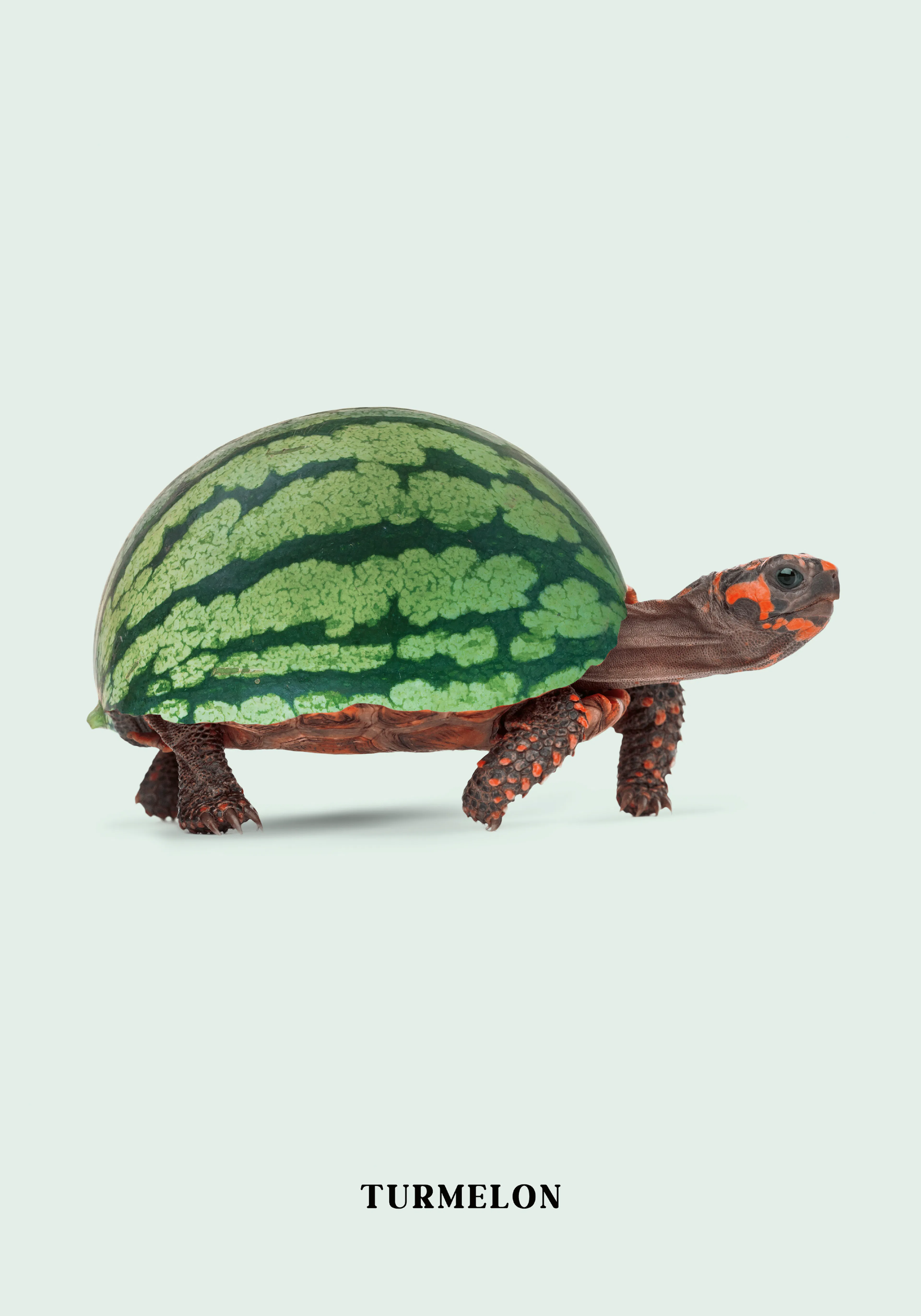 Product image: 1