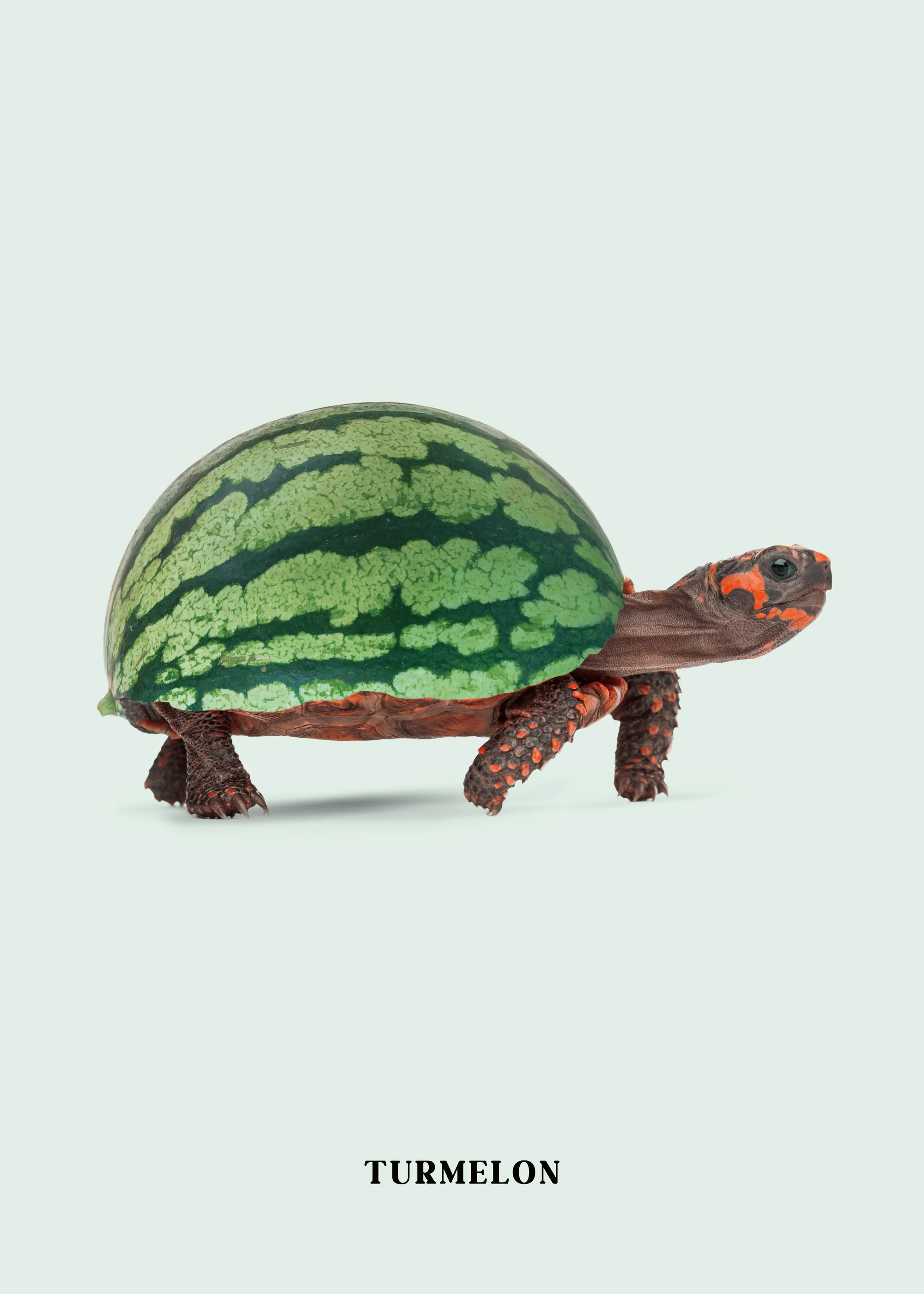 Jonas Loose - Turmelon Affiche 0