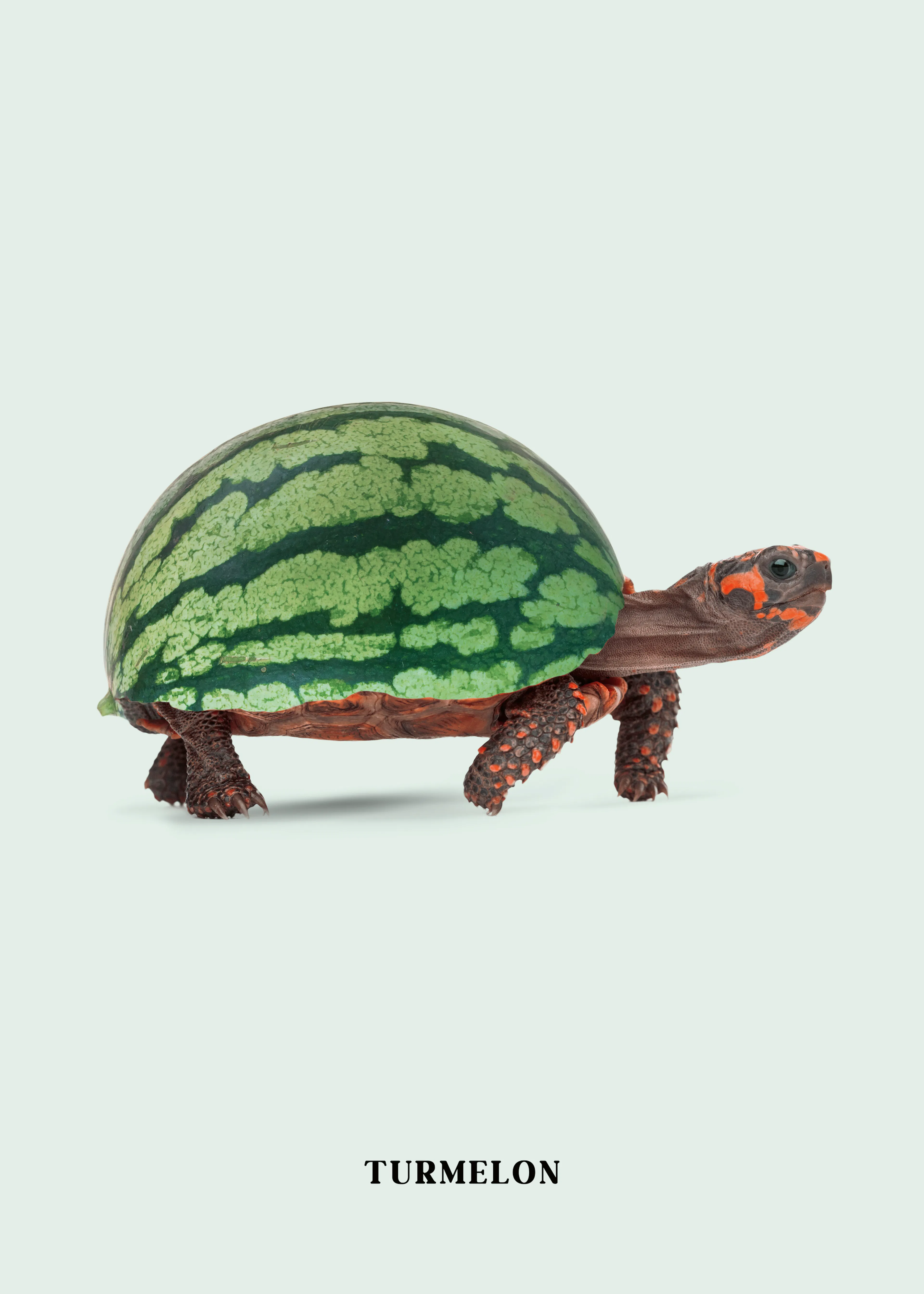Jonas Loose - Turmelon Affiche 0