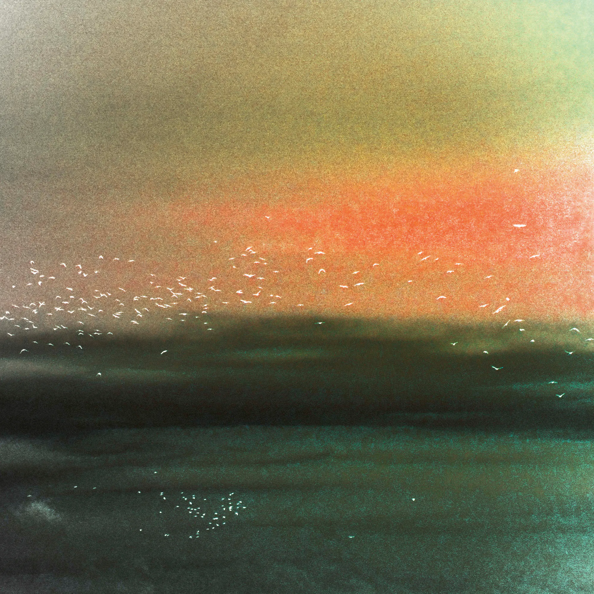 Christina Sillen - Ocean Birds Red Sky ポスター 0