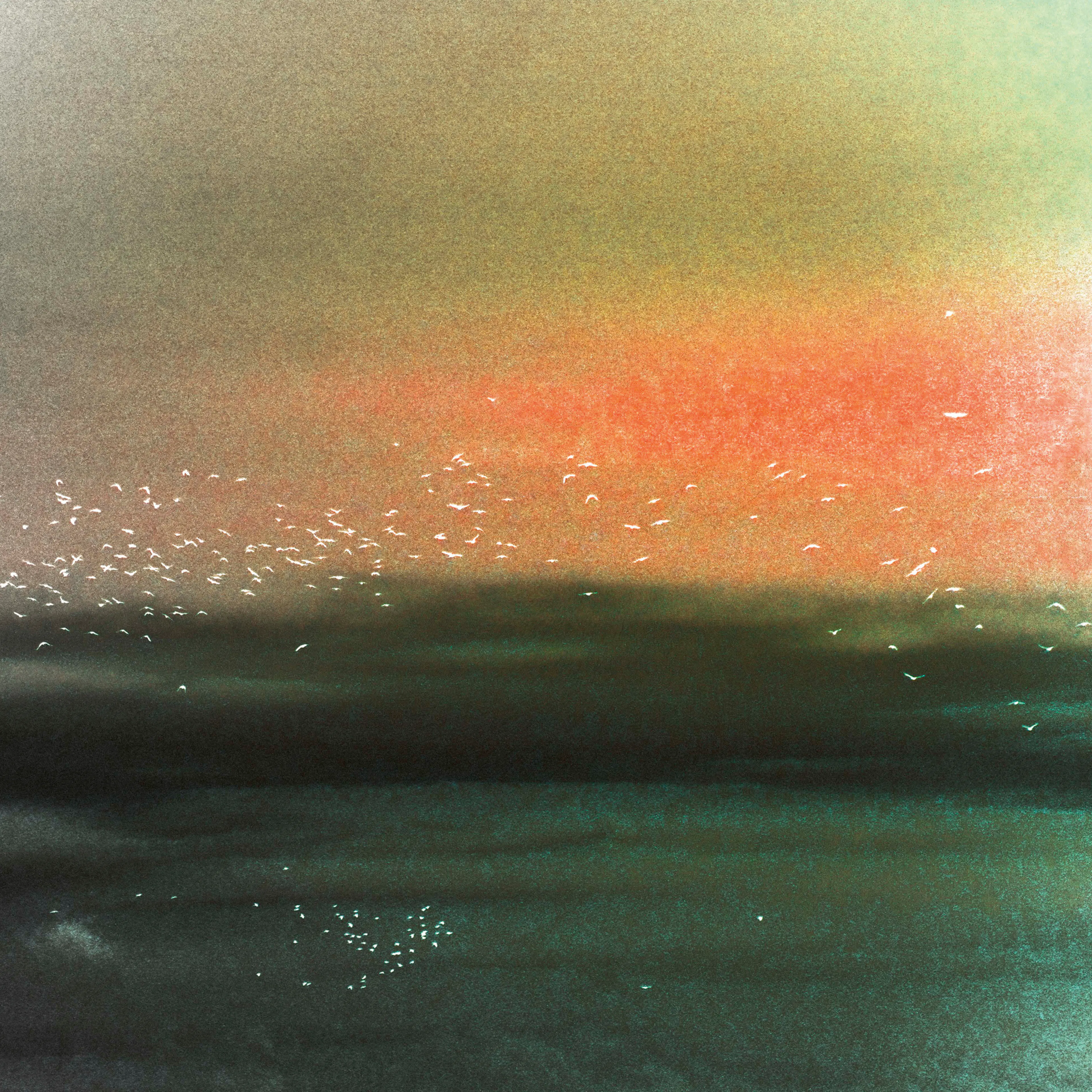 Christina Sillen - Ocean Birds Red Sky ポスター 0
