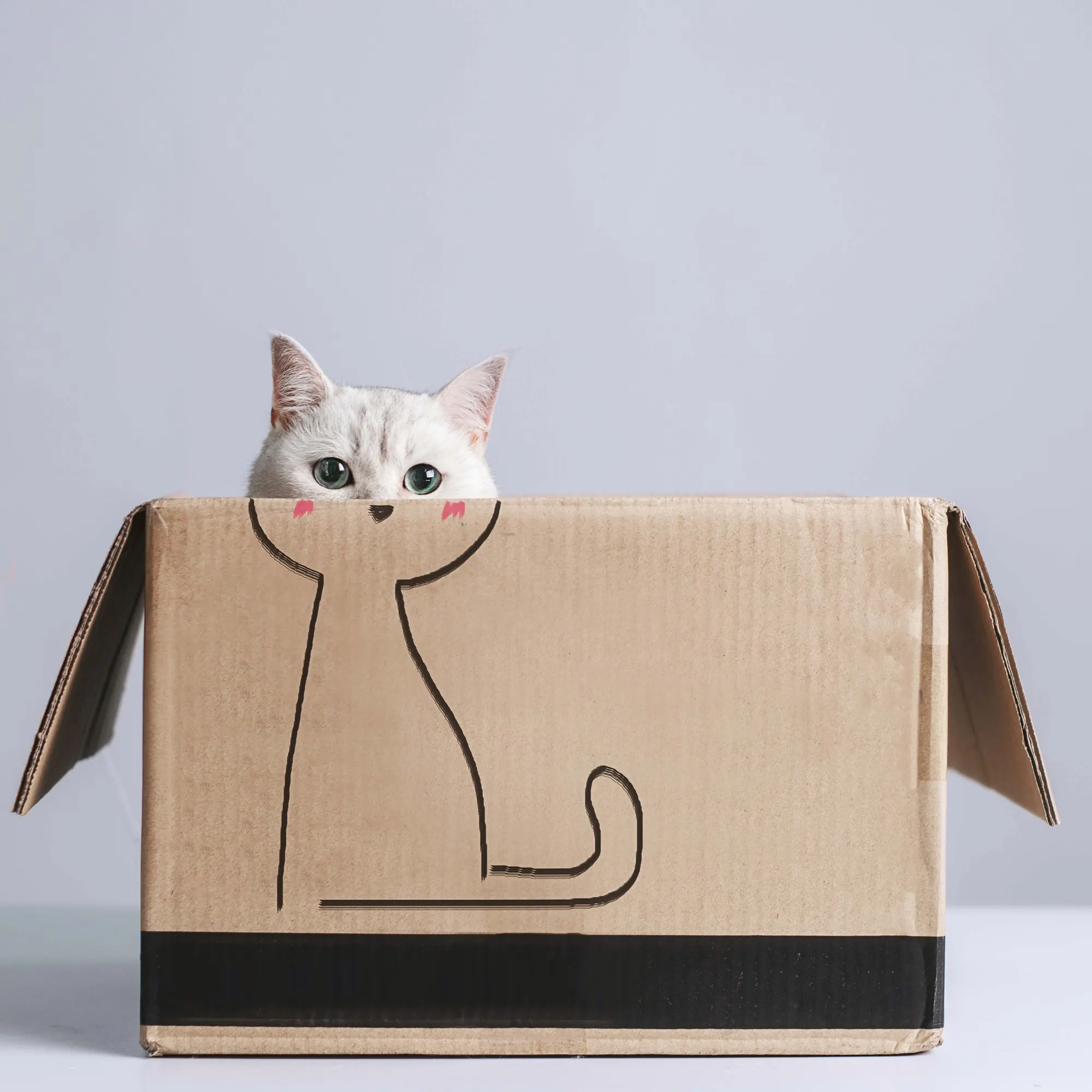 Terry F - Curious Cat Peek Poster 0