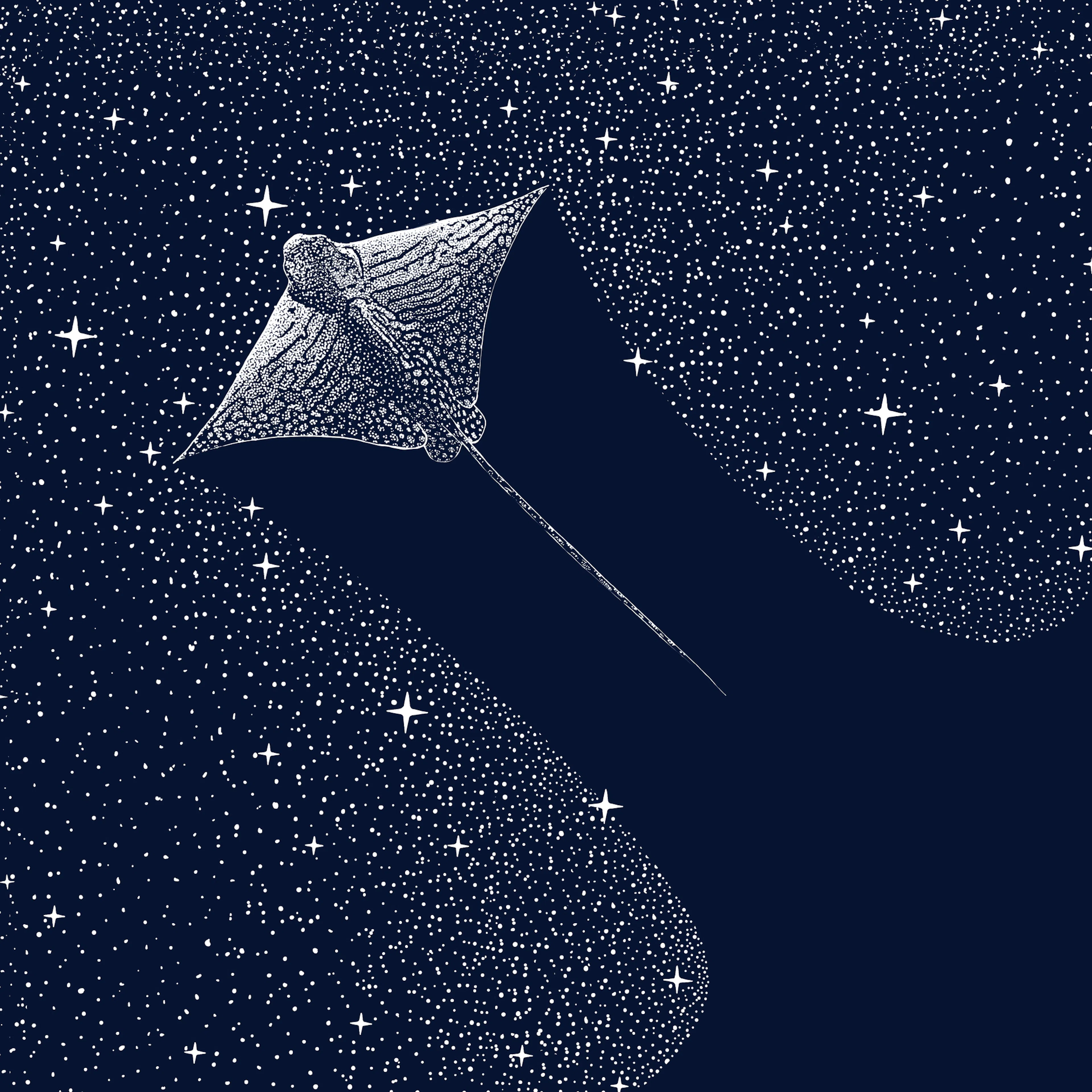 Alirıza ÇAKIR - Cosmic Eagle Ray Print 0