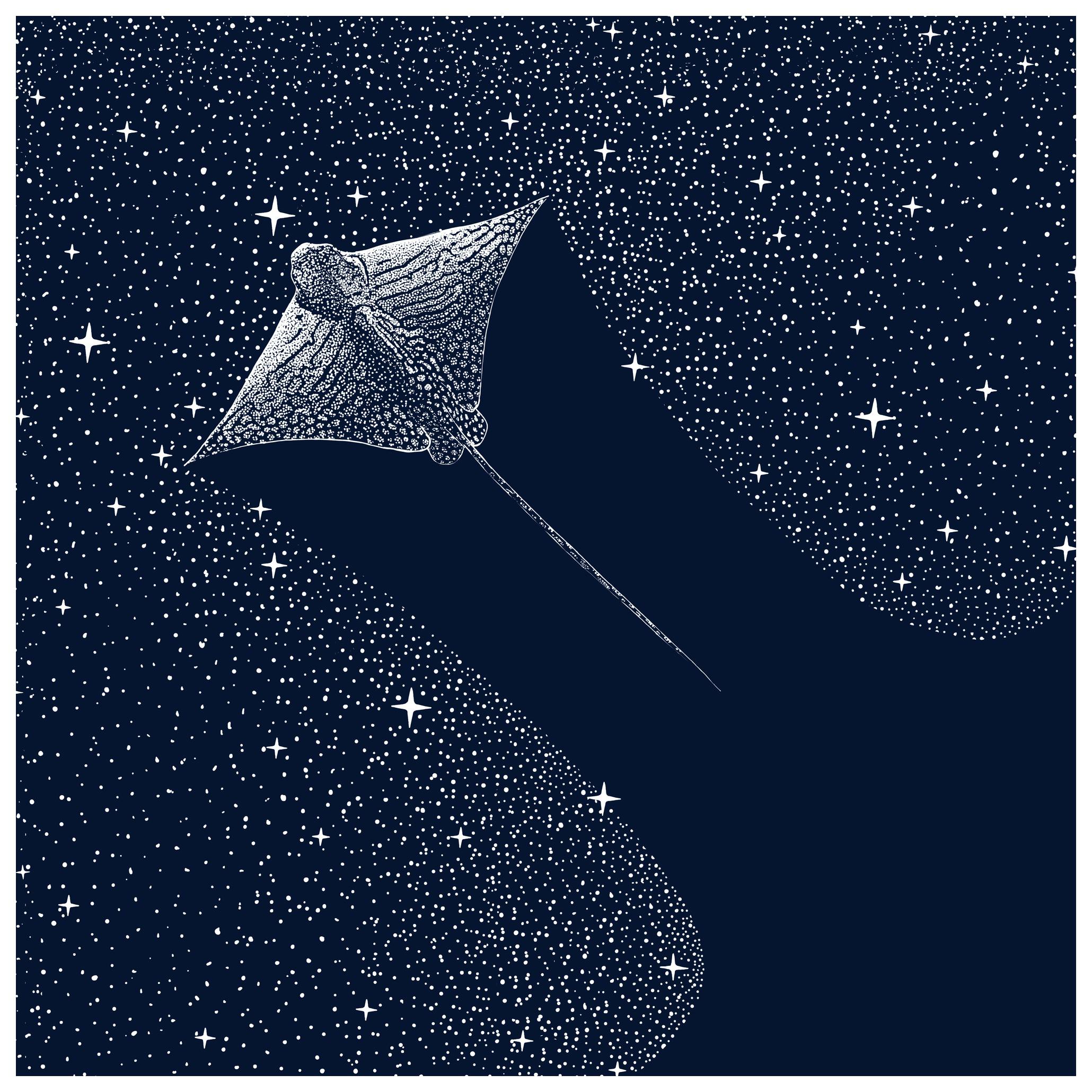 Alirıza ÇAKIR - Kosmische Adelaarsrog Poster (50x50 cm) - Poster Store