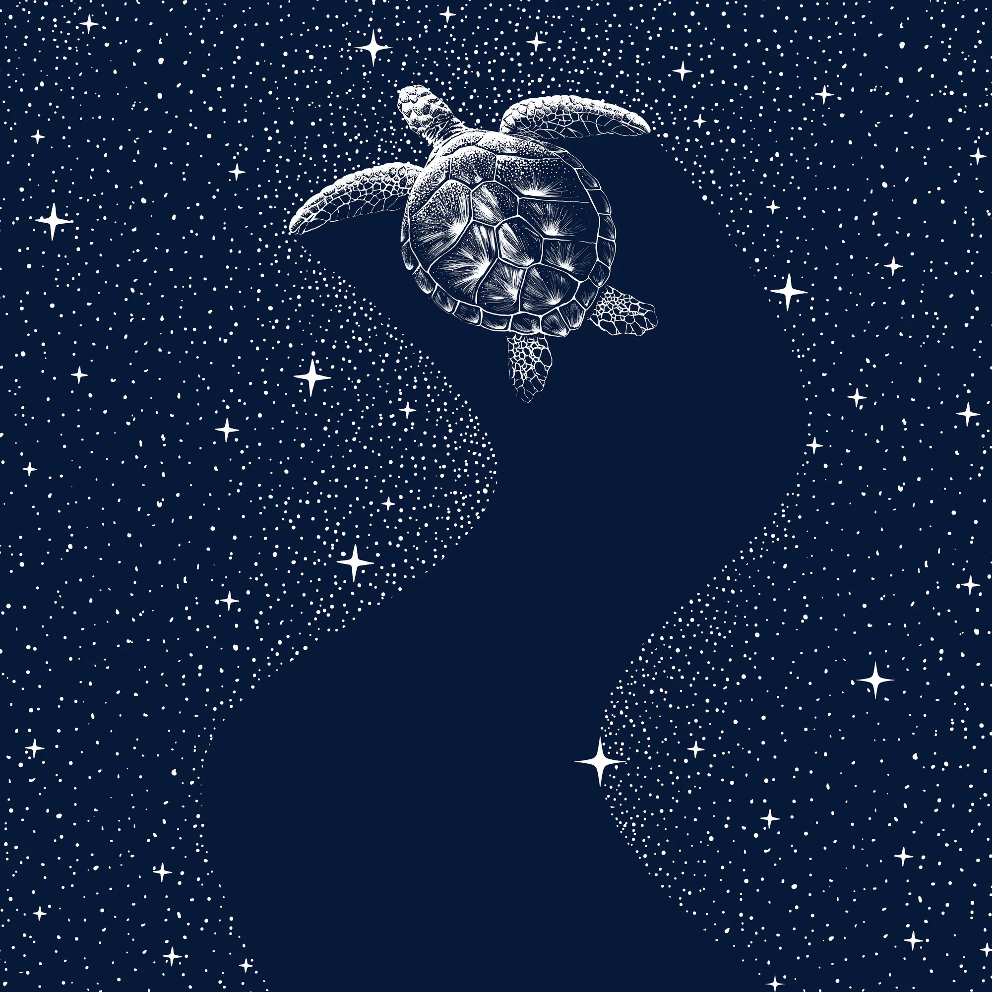Alirıza ÇAKIR - Cosmic Sea Turtle Poster 0
