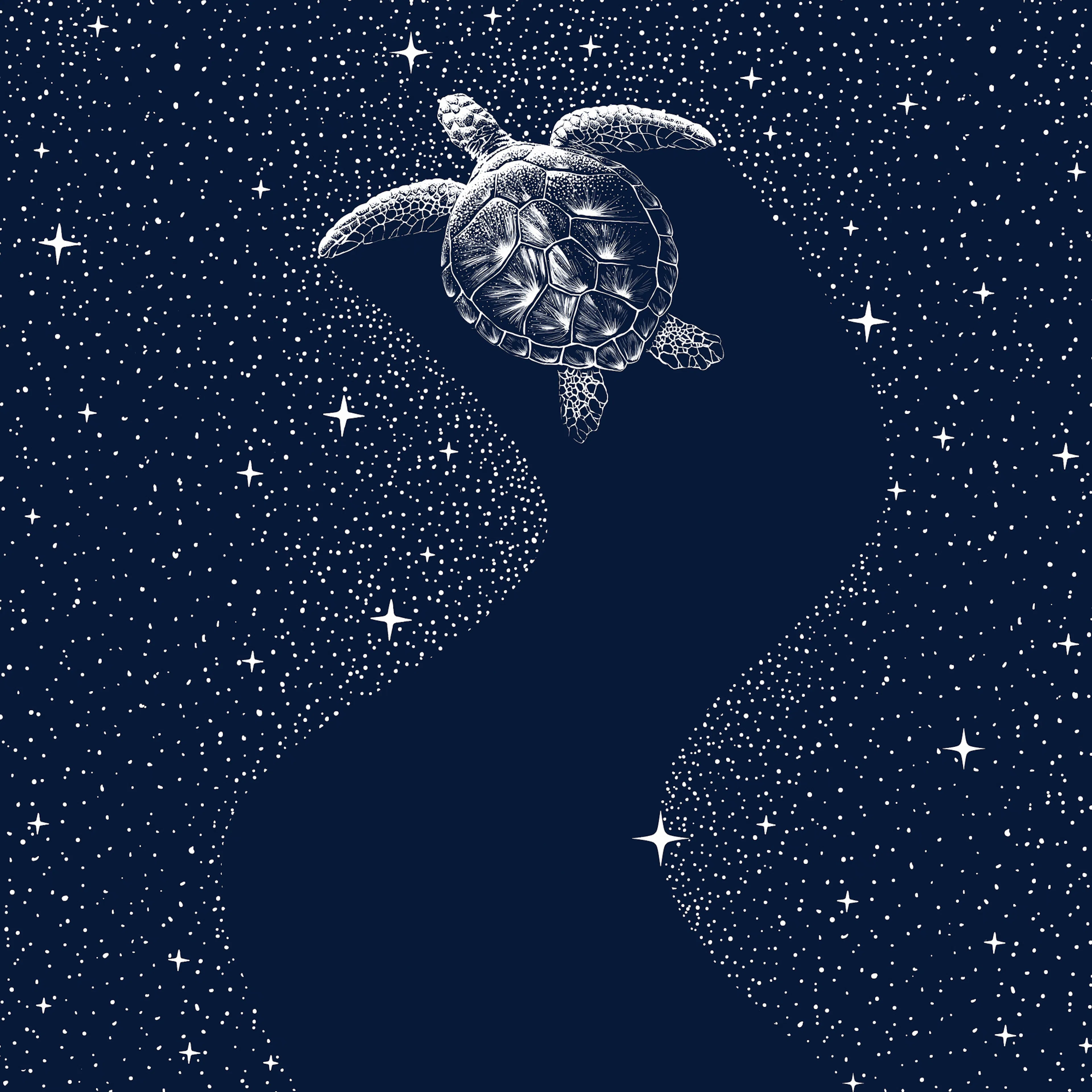Alirıza ÇAKIR - Cosmic Sea Turtle Poster 0
