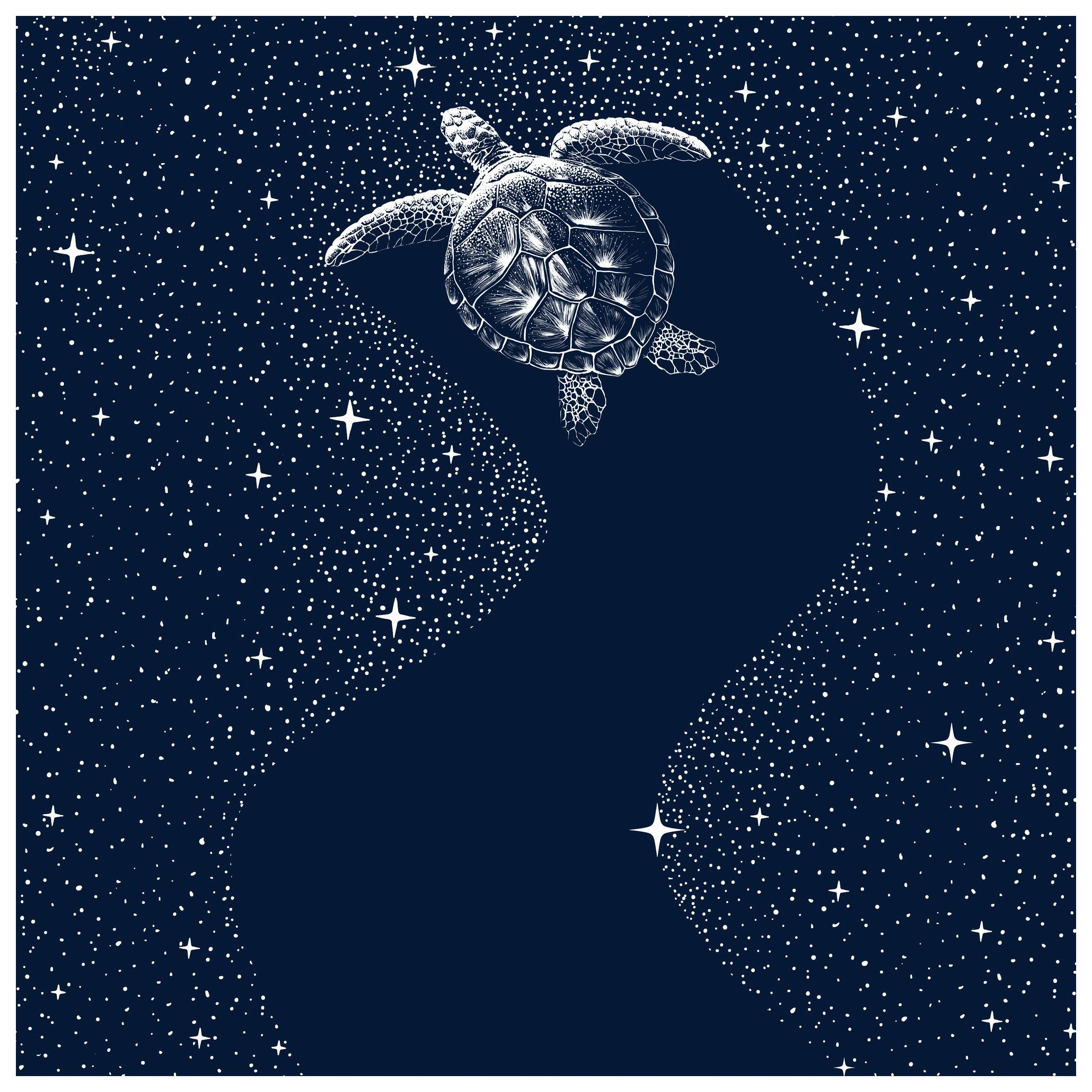 Alirıza ÇAKIR - Kosmische Zeeschildpad Poster (50x50 cm) - Poster Store