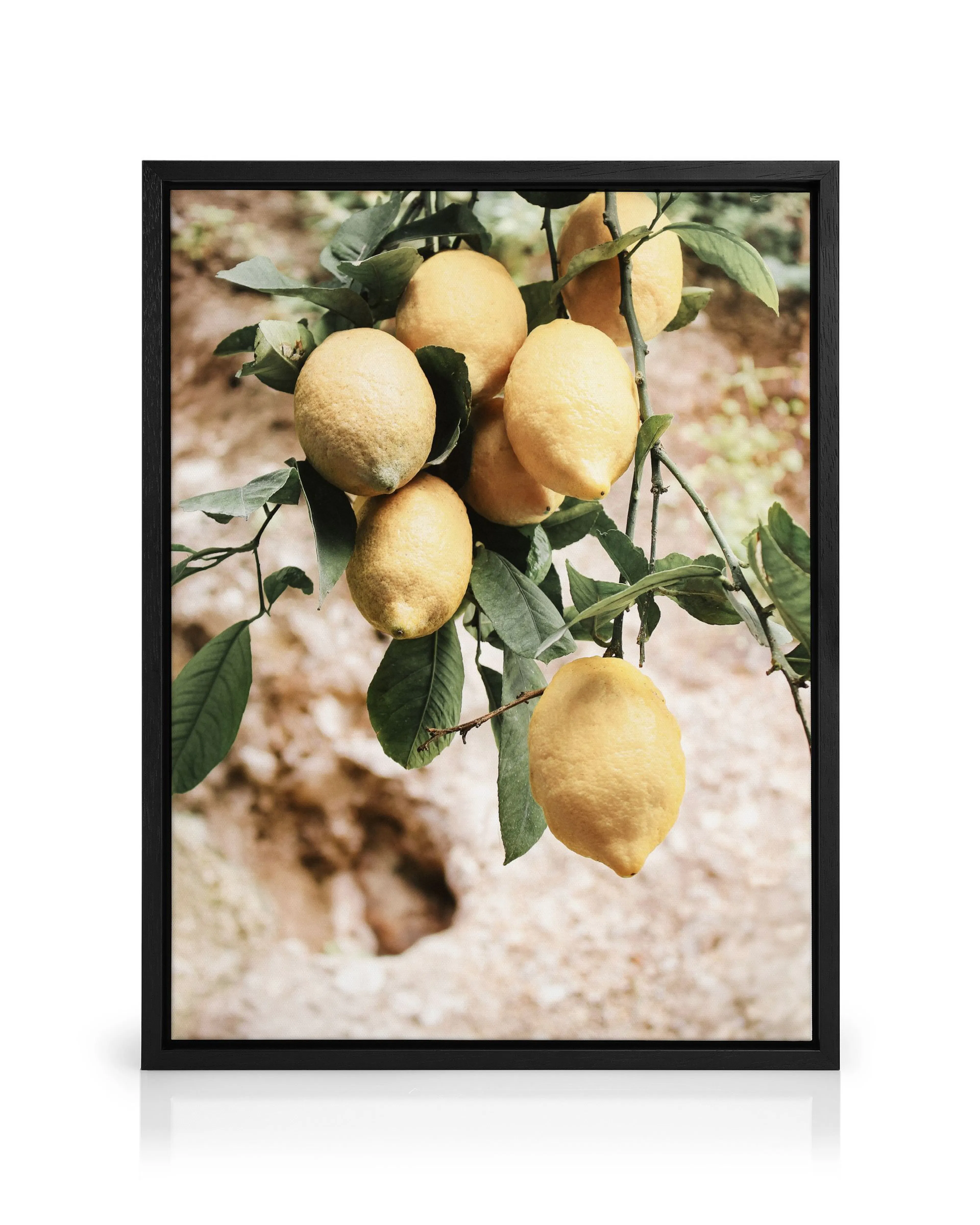 Product image: 1