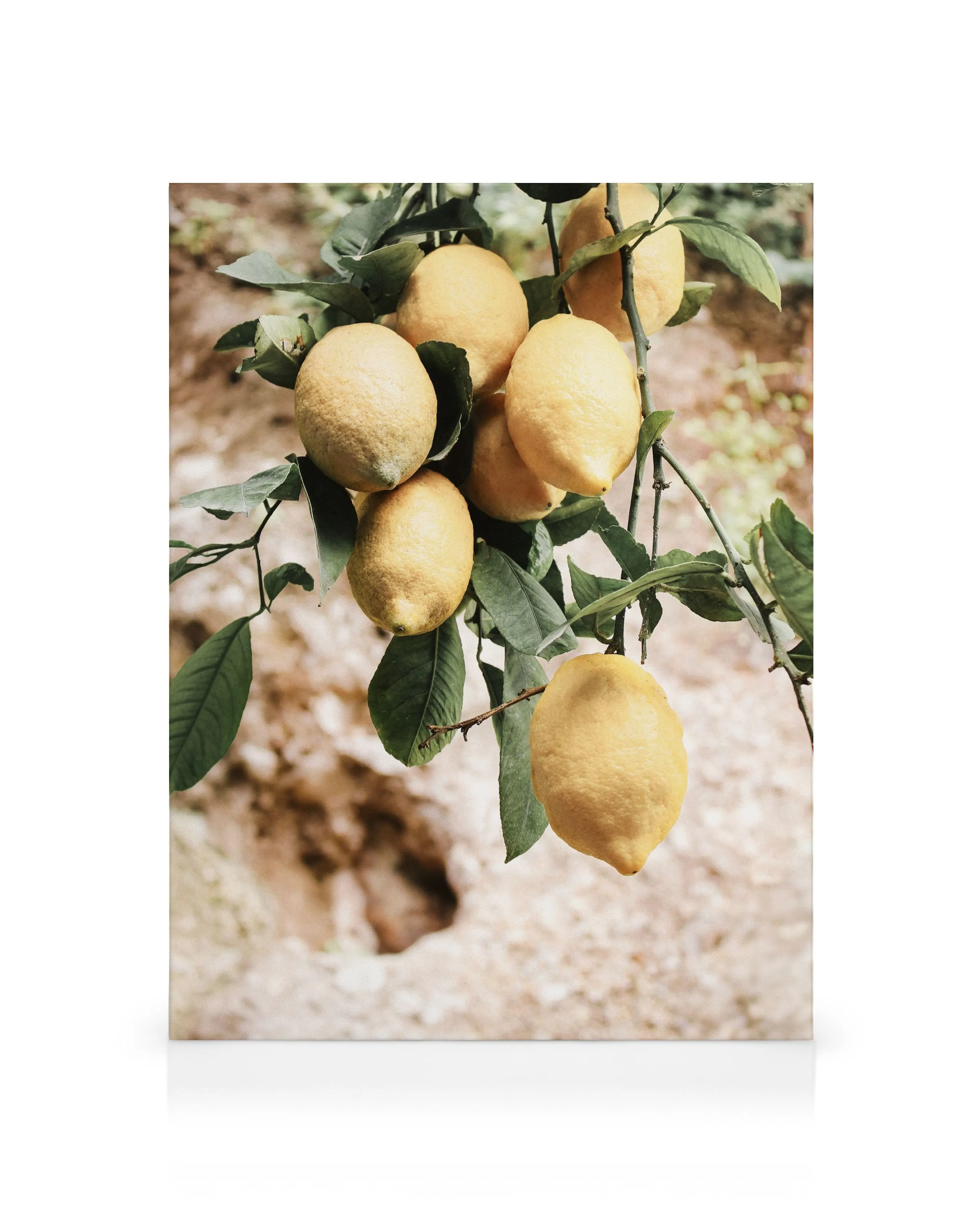 Product image: 1