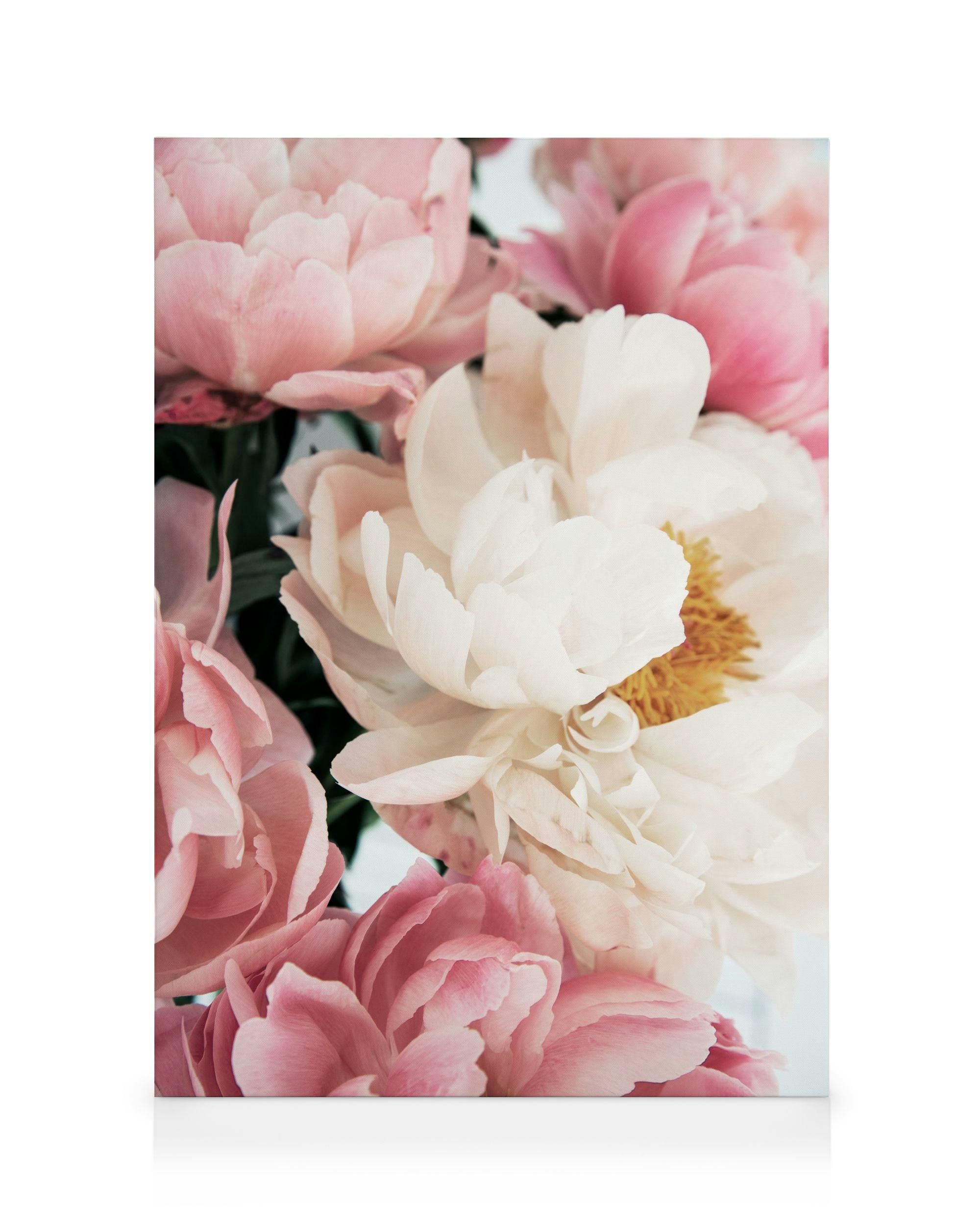Canvas Prints - Pink Peonies Canvas print (70x100 cm - Black Frame) - Poster Store