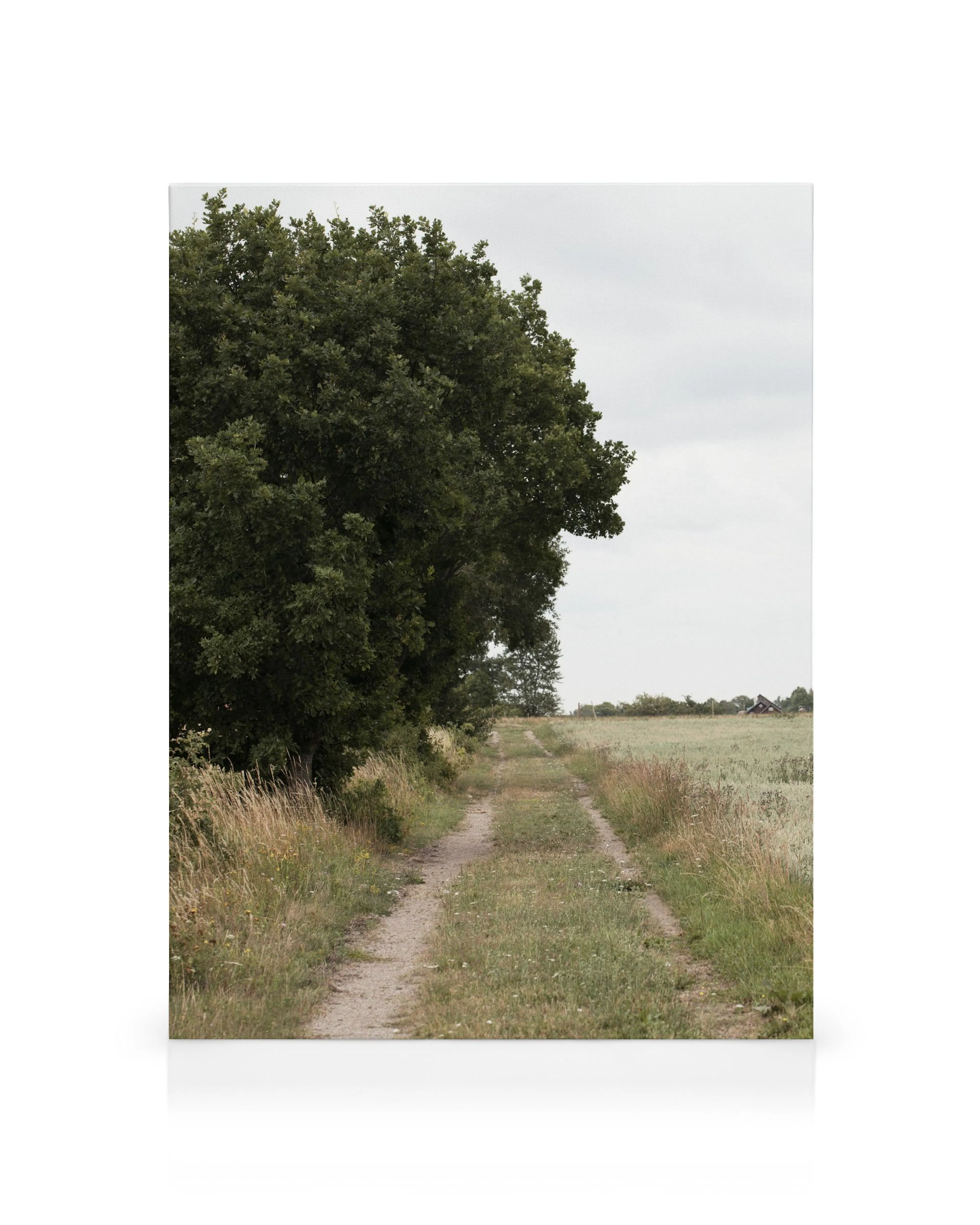 Product image: 1