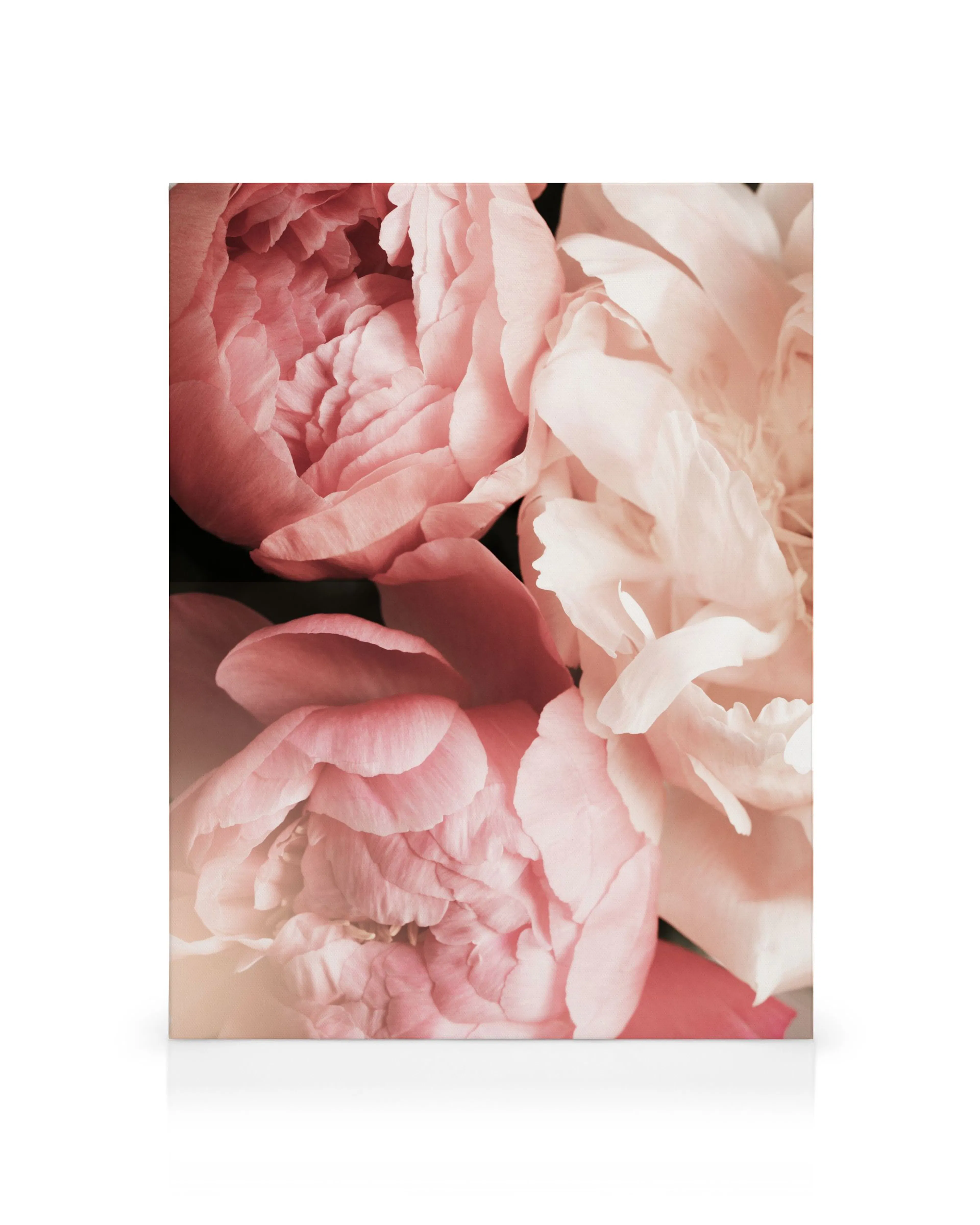 Product image: 1