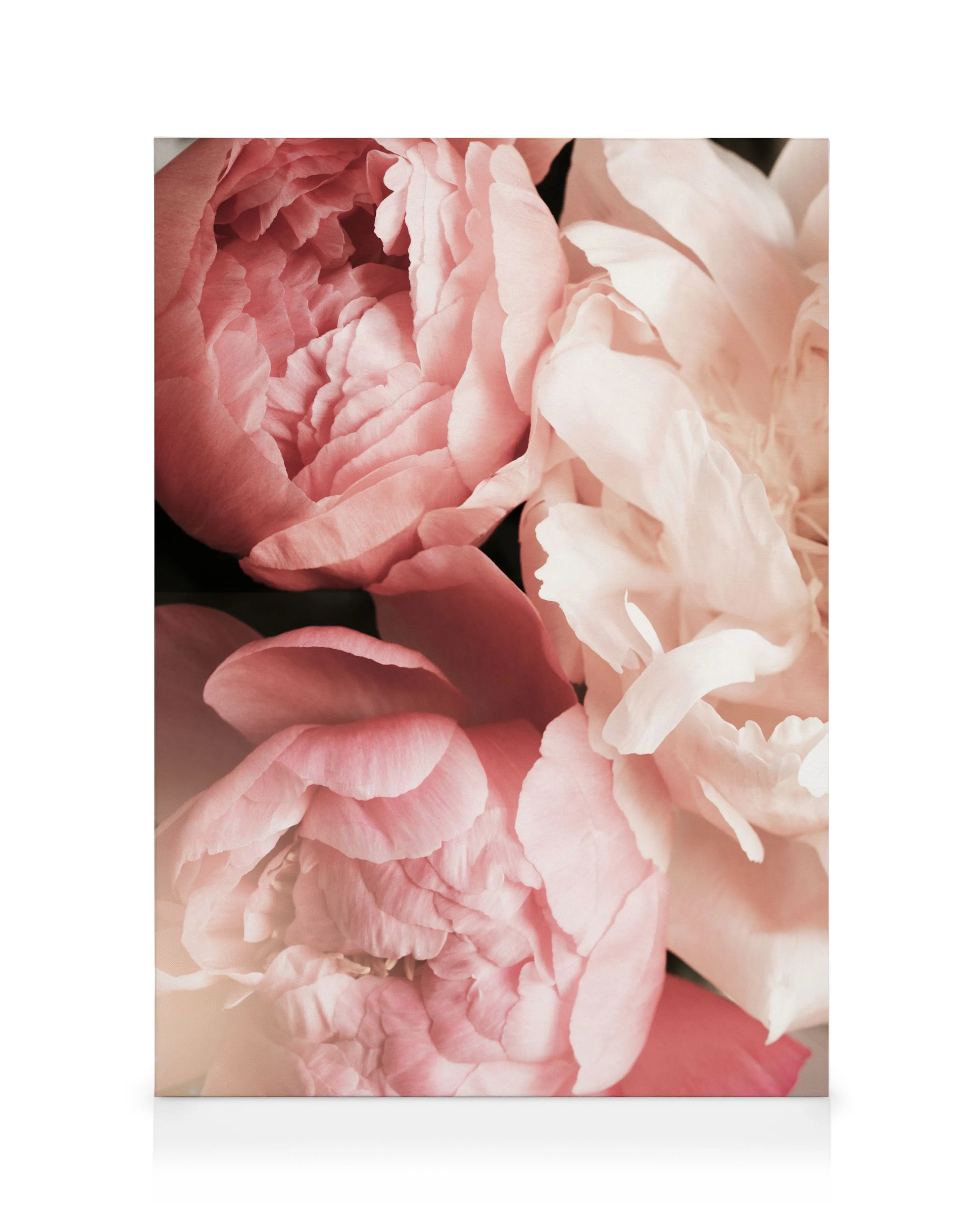 Doux Bouquet de Fleurs Toile 0
