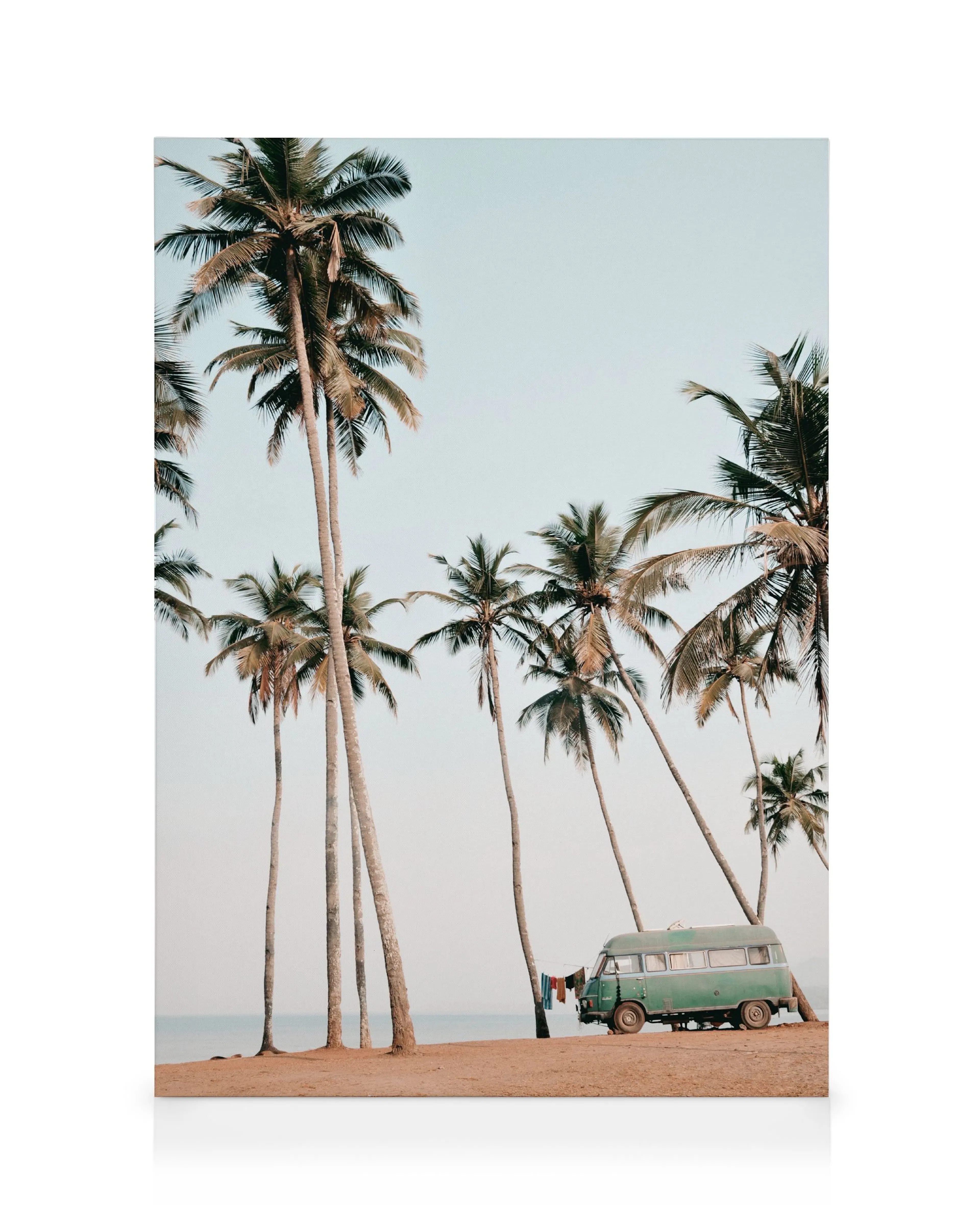 Plage de Palmiers Toile 0