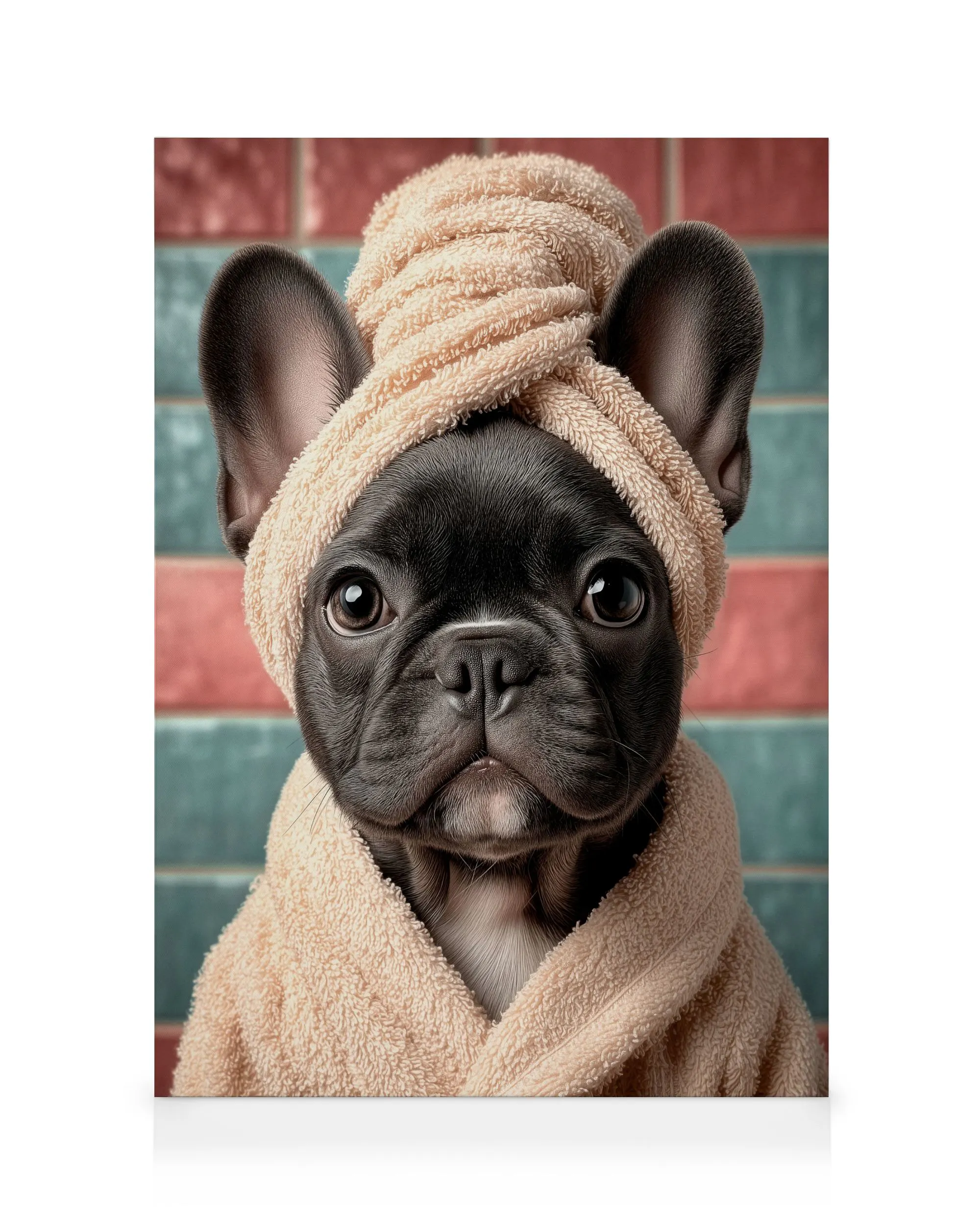 Mignon Bouledogue Français Noir Toile 0