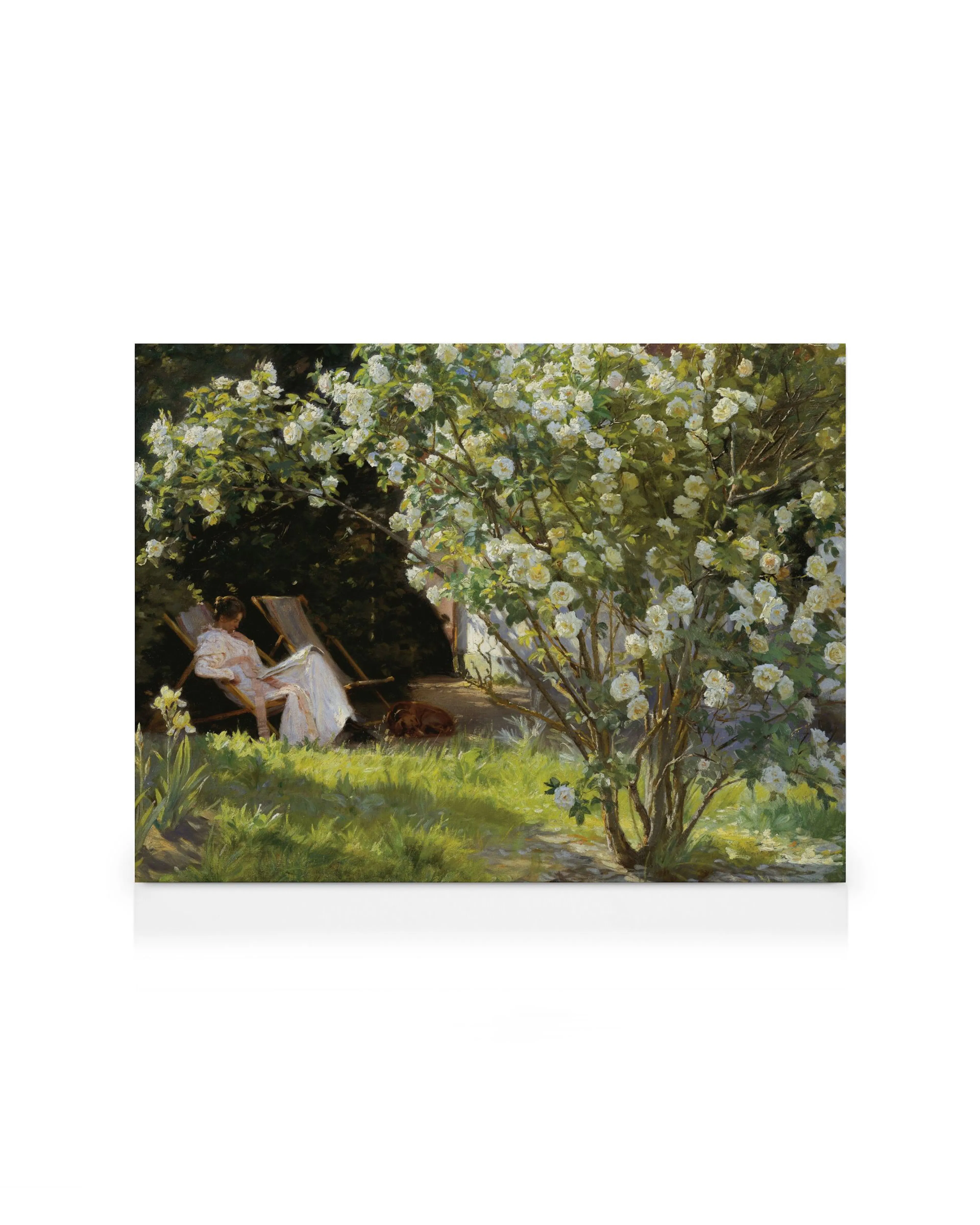 Product image: 1