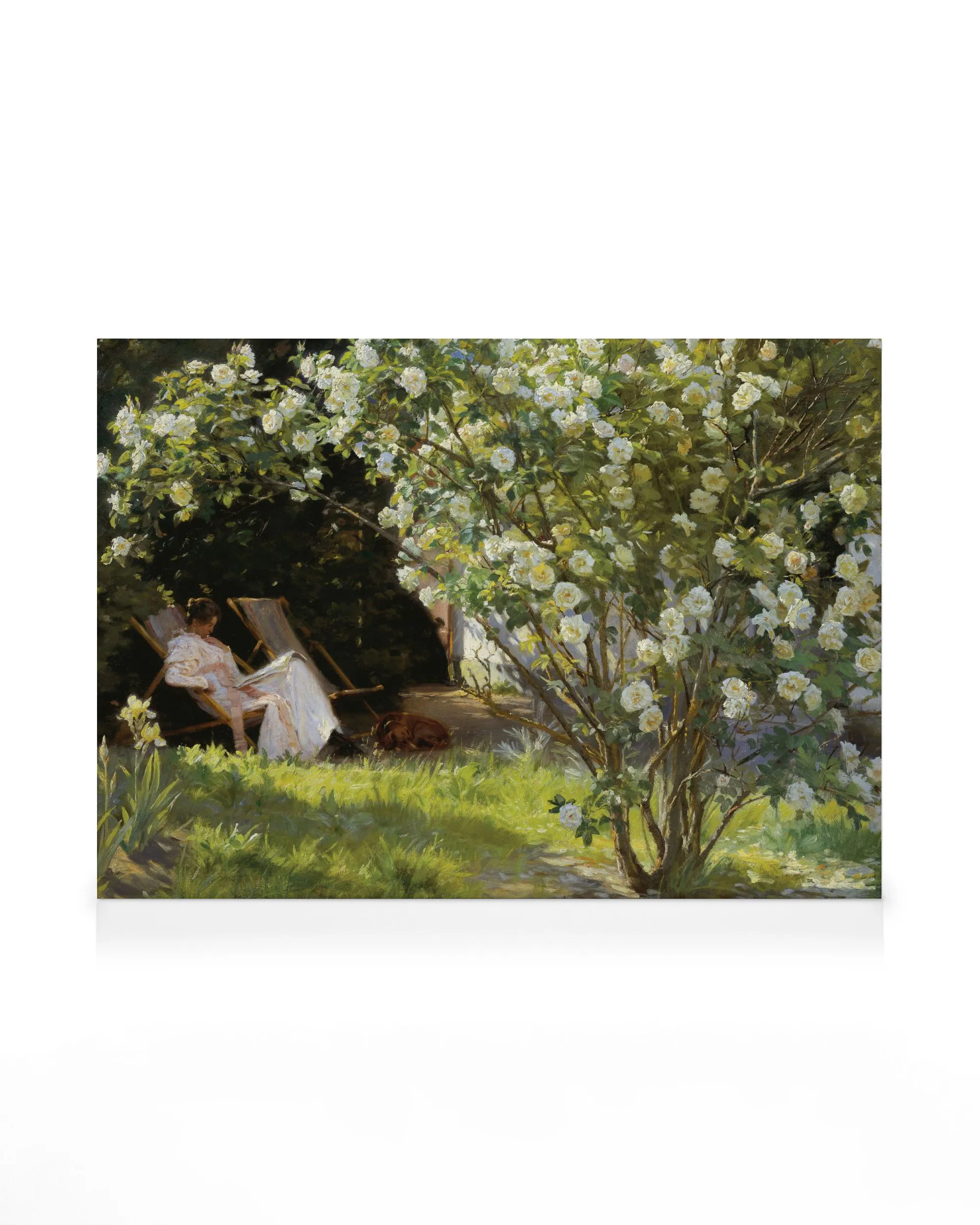 Peder Severin Krøyer - Roses Canvas print 0