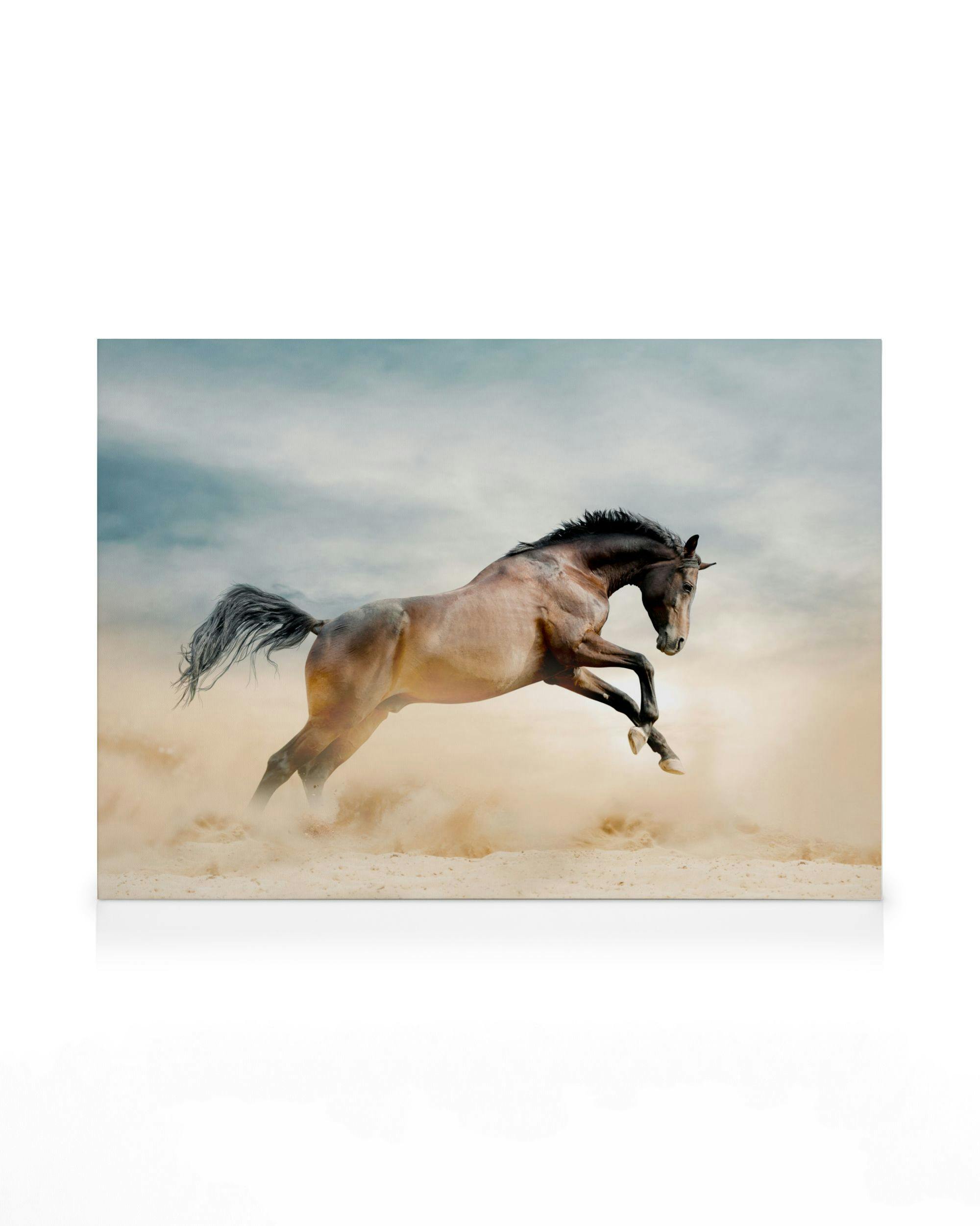 Cheval au Galop Toile (70x100 cm) - Poster Store