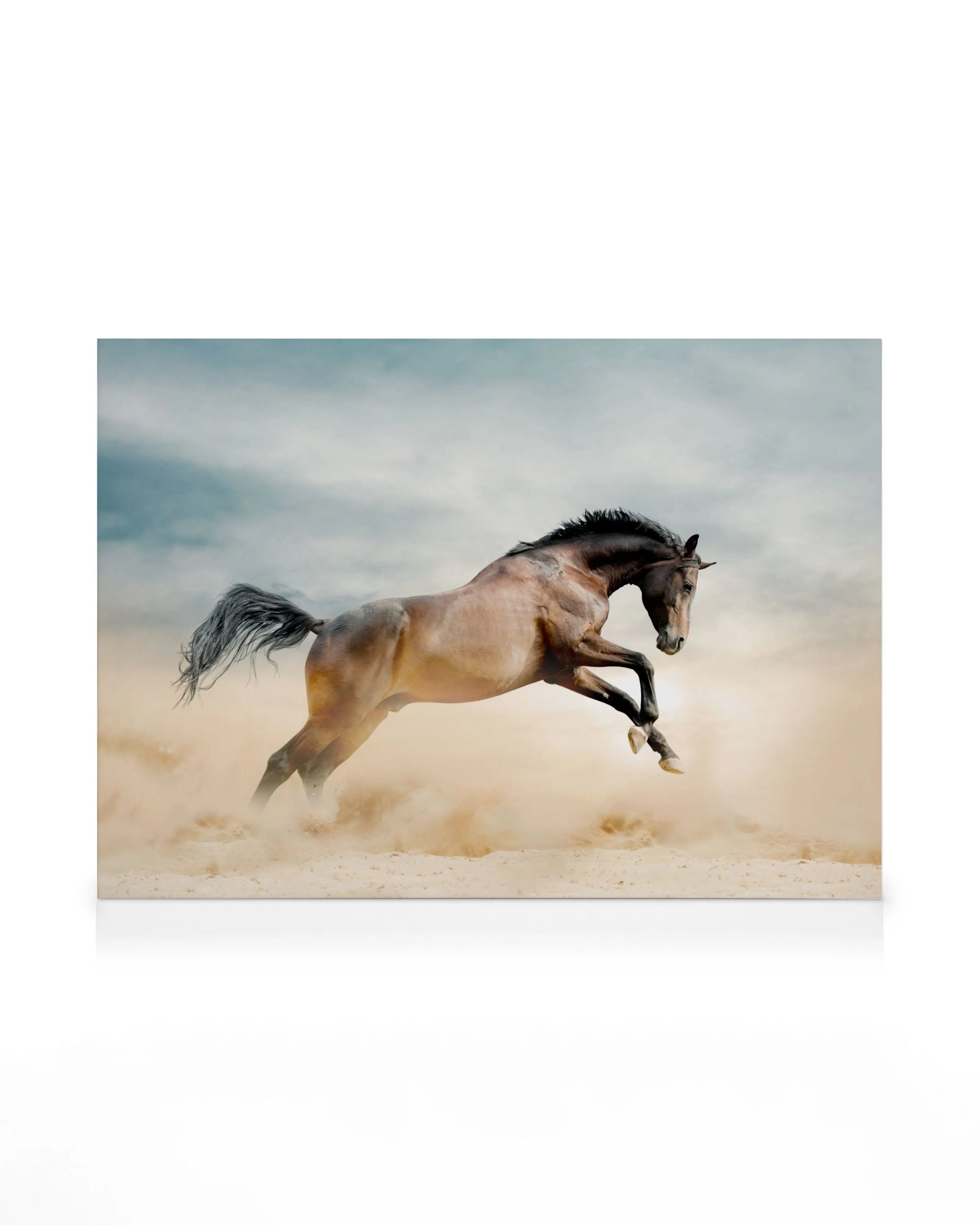 Cheval au Galop Toile 0