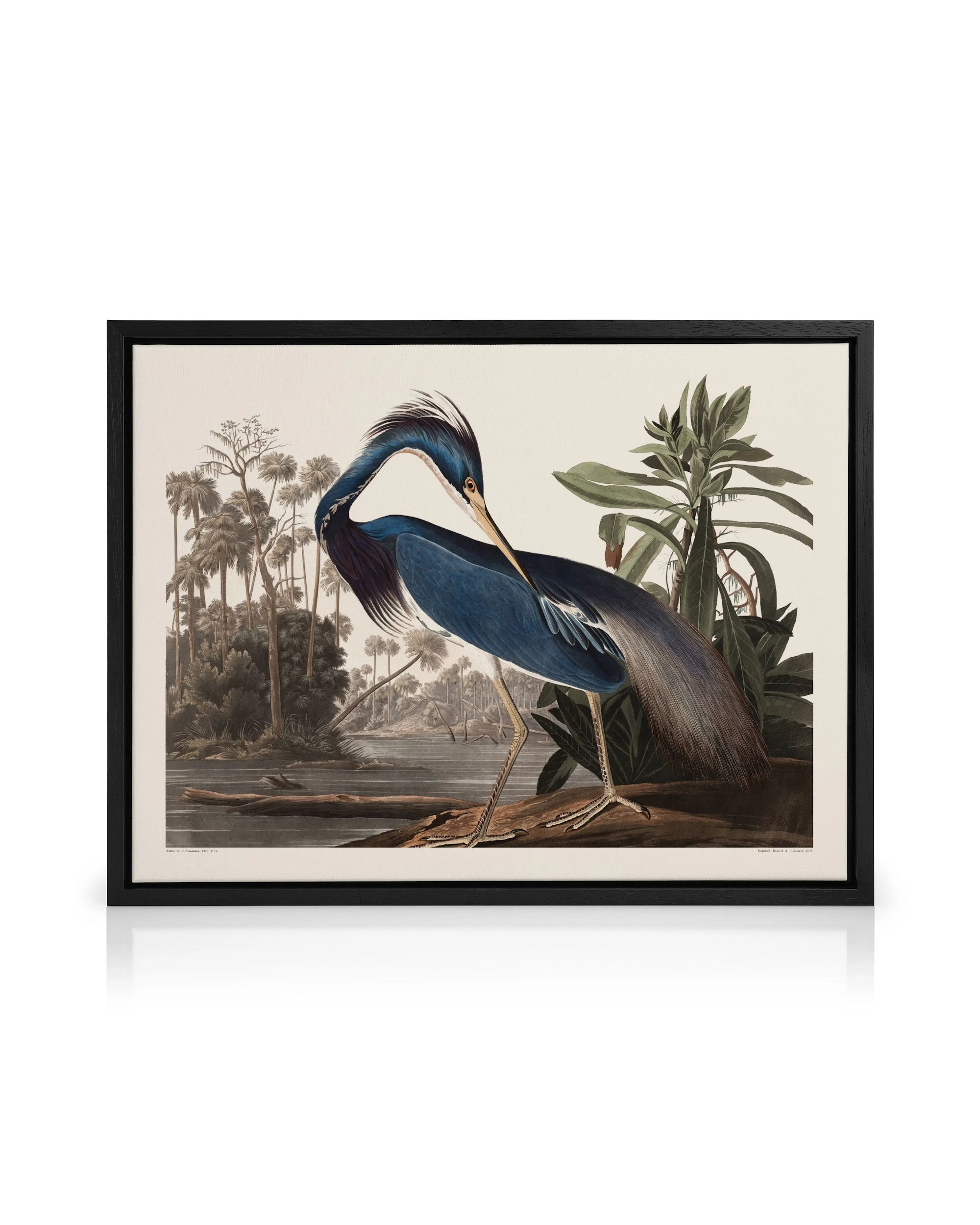 Product image: 1