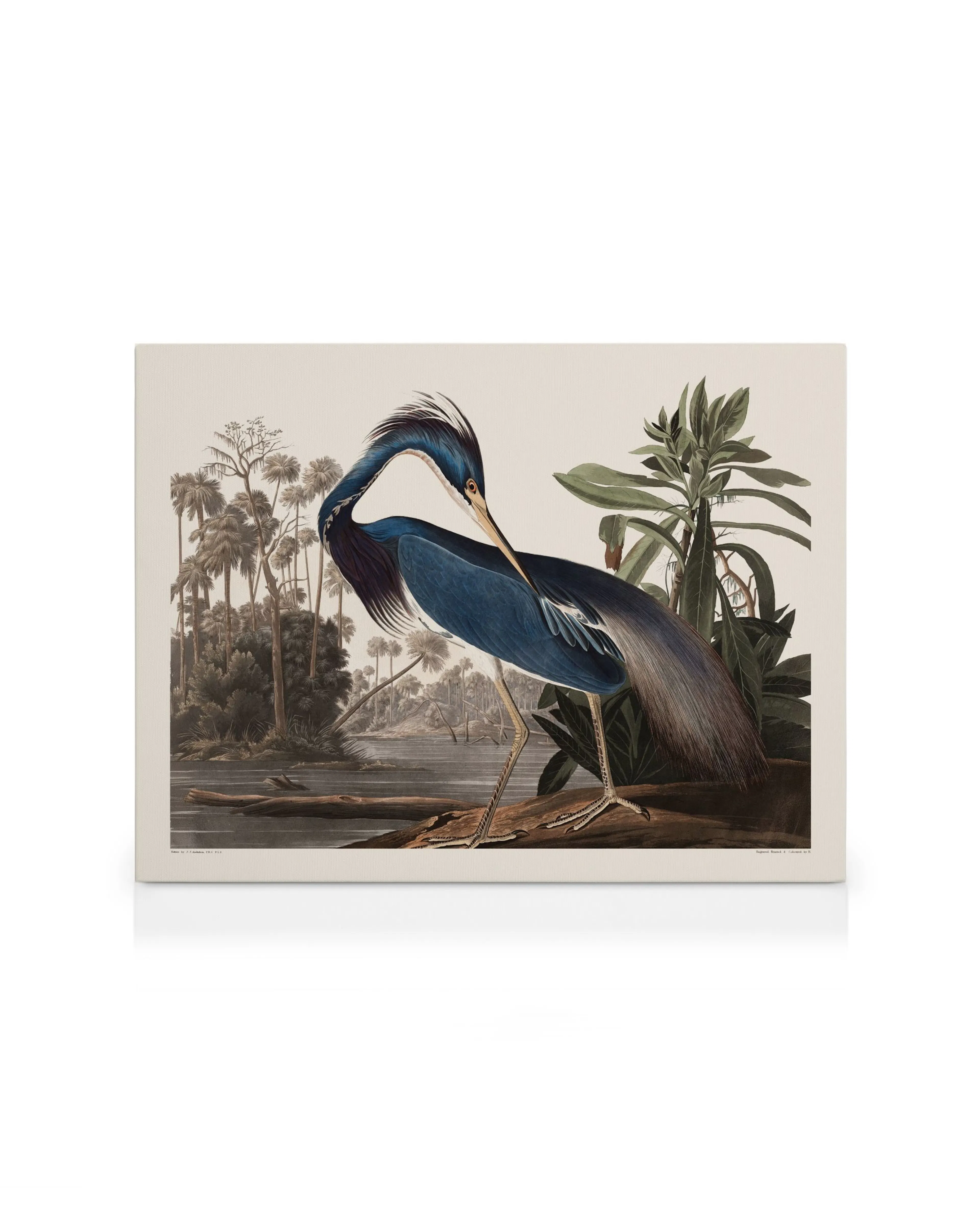 Product image: 1