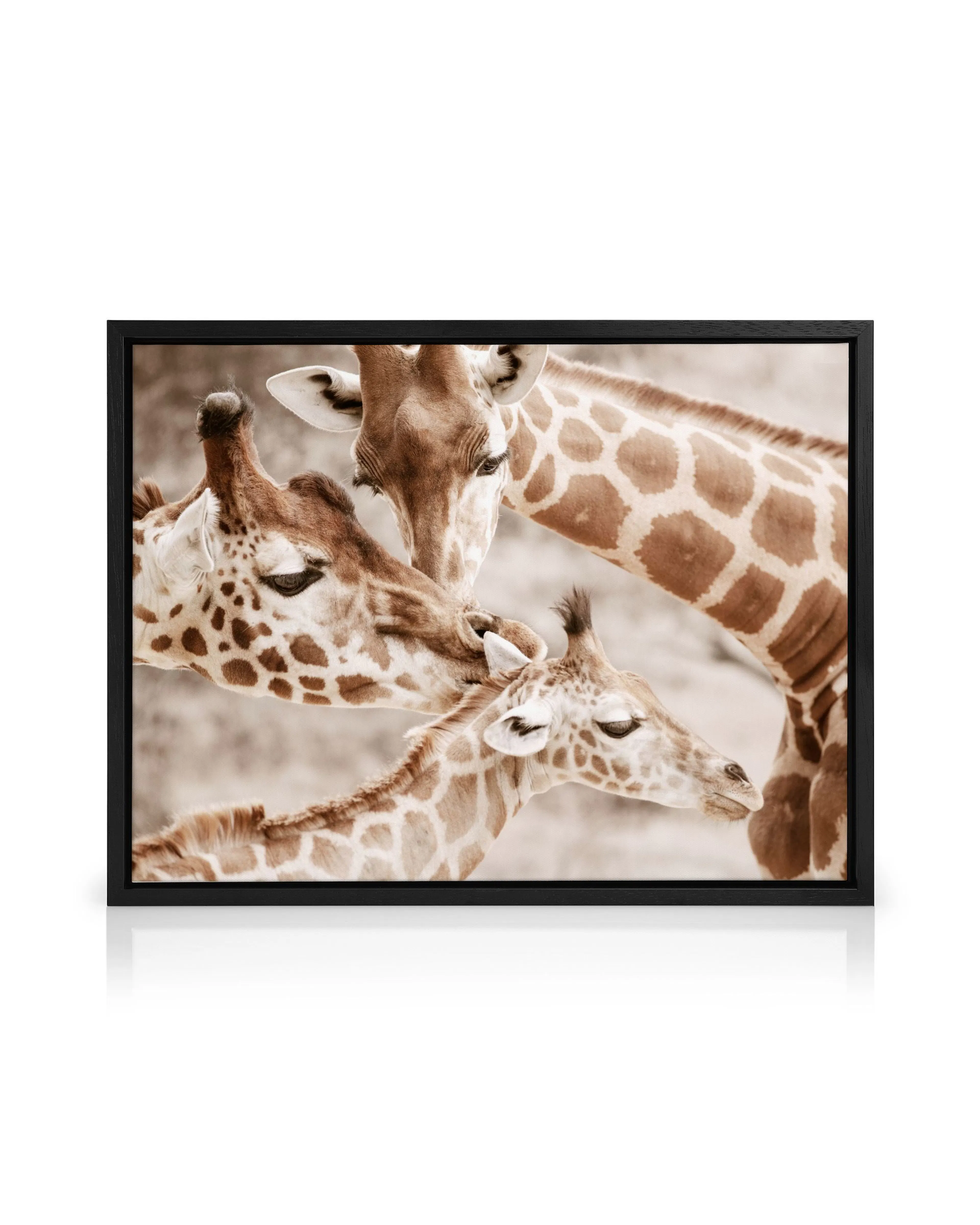 Product image: 1