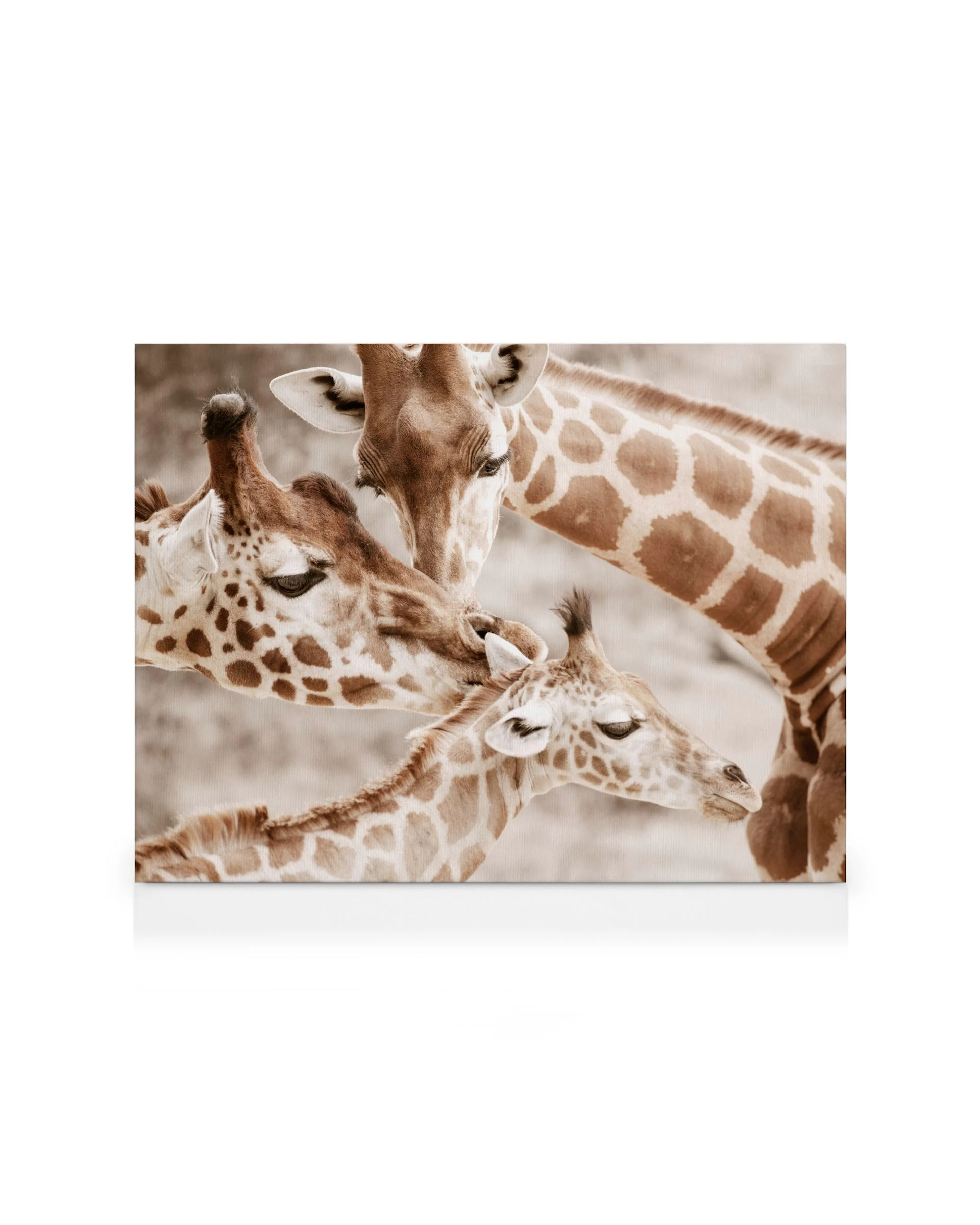 Product image: 1