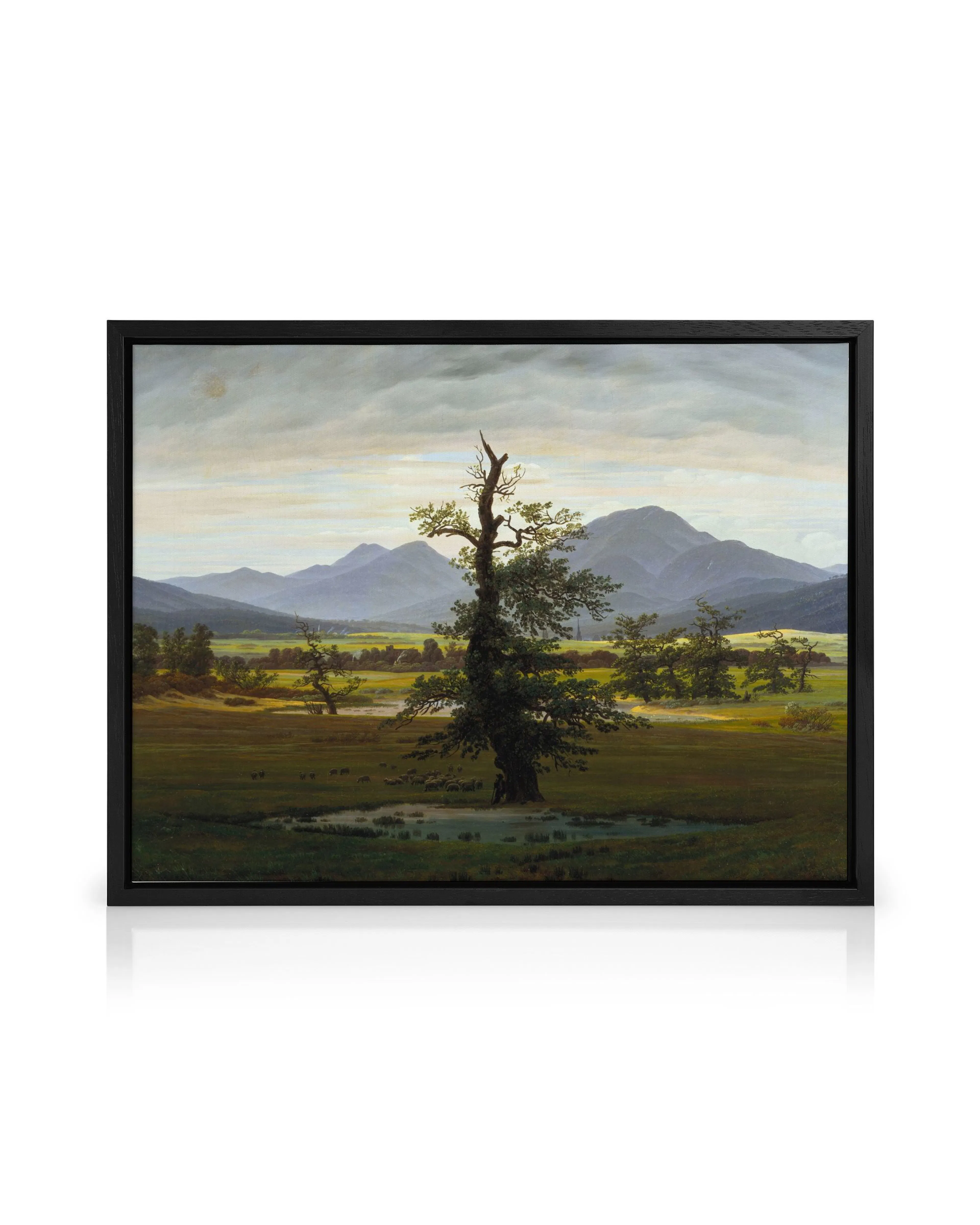 Product image: 1