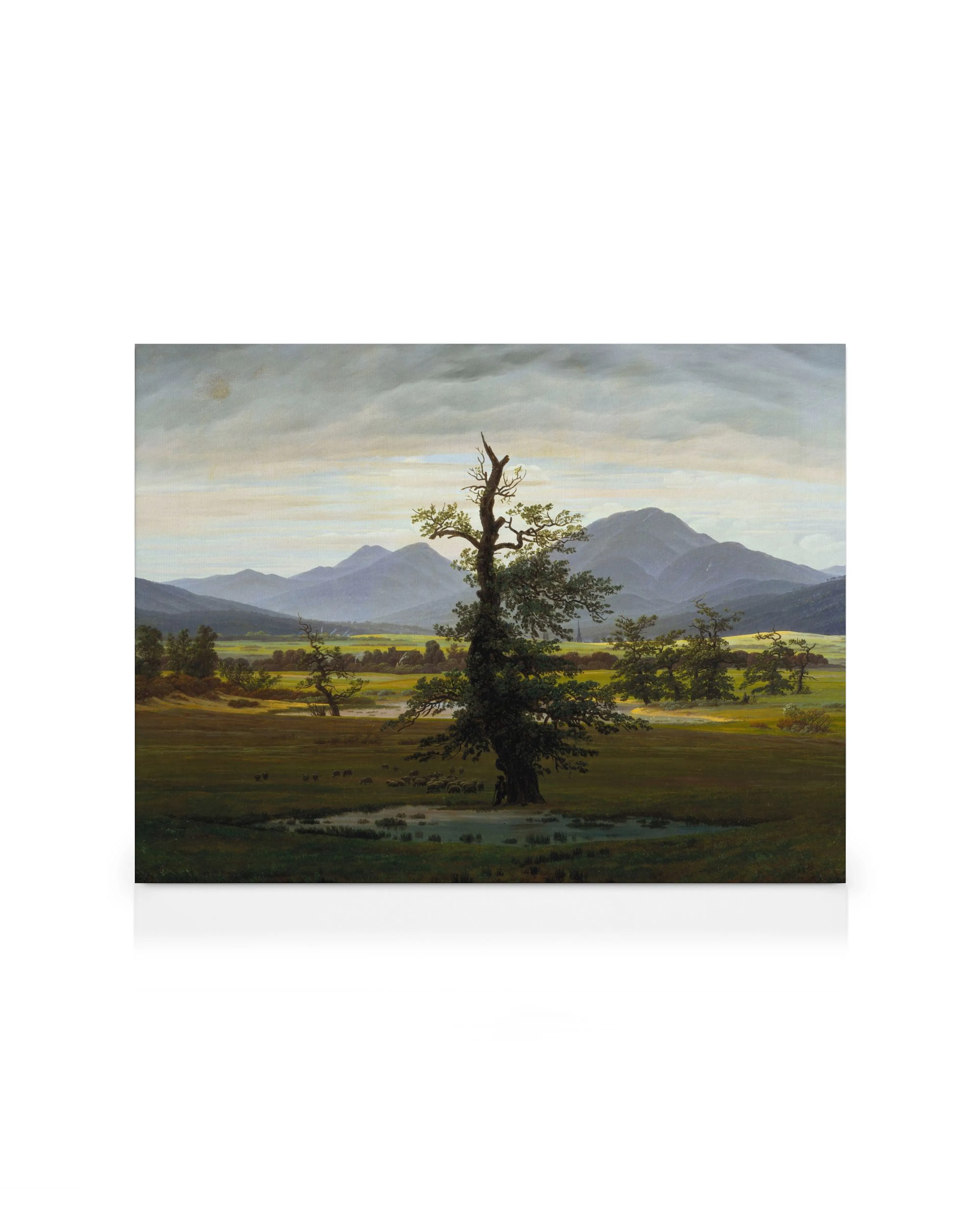 Product image: 1