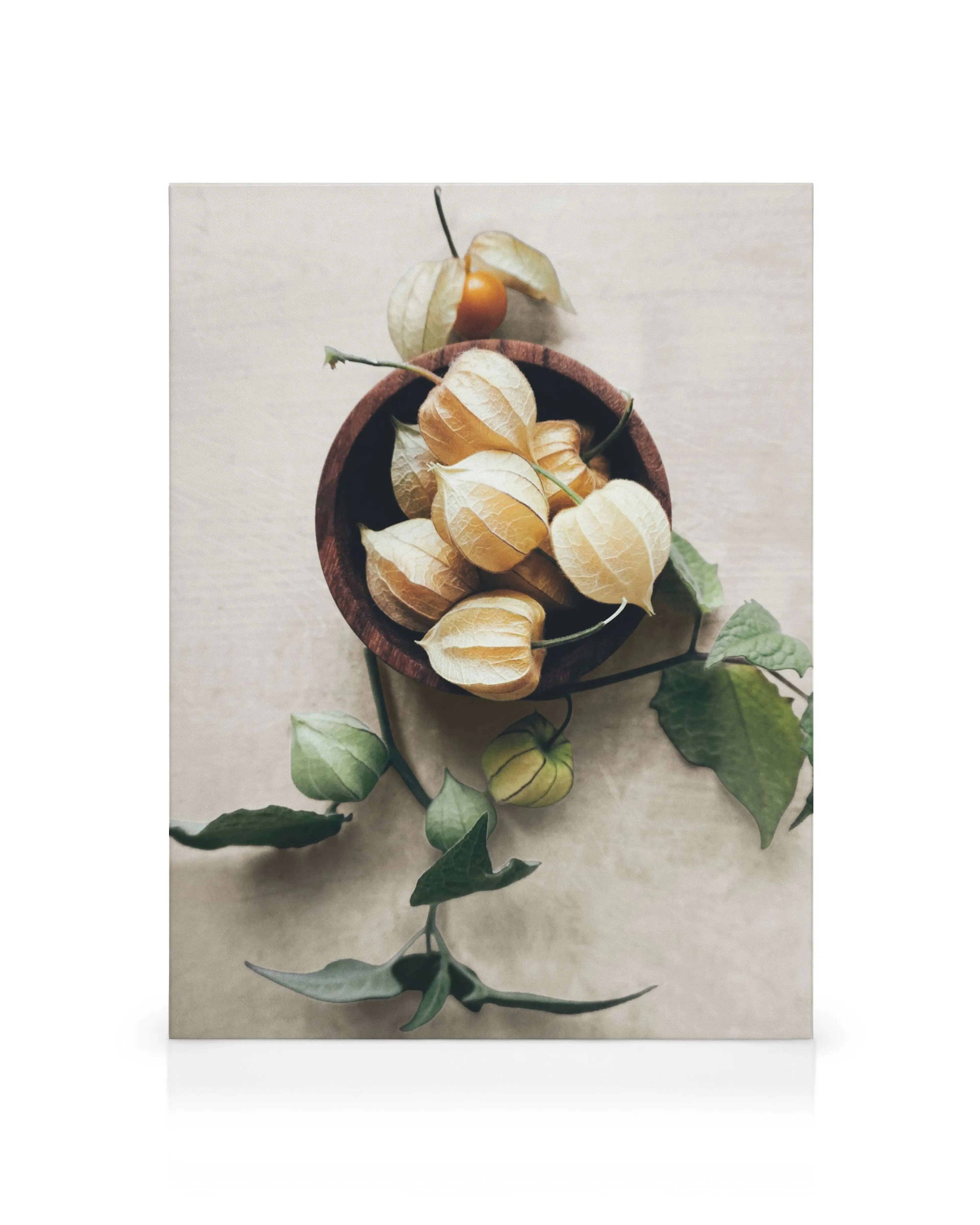 Product image: 1