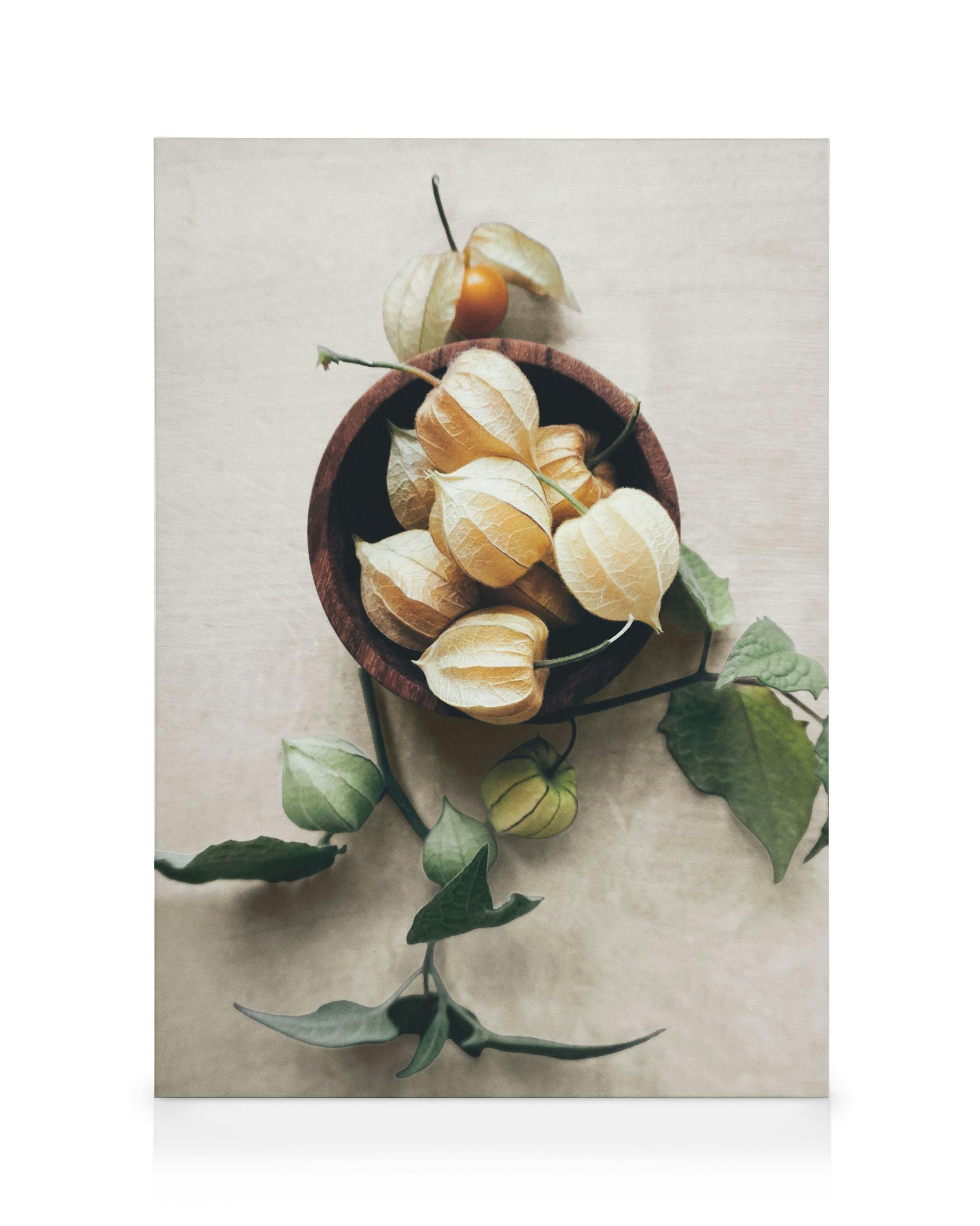 Dried Physalis Decoration Canvas print (70x100 cm - Black Frame) - Poster Store High Quality Picture Frames