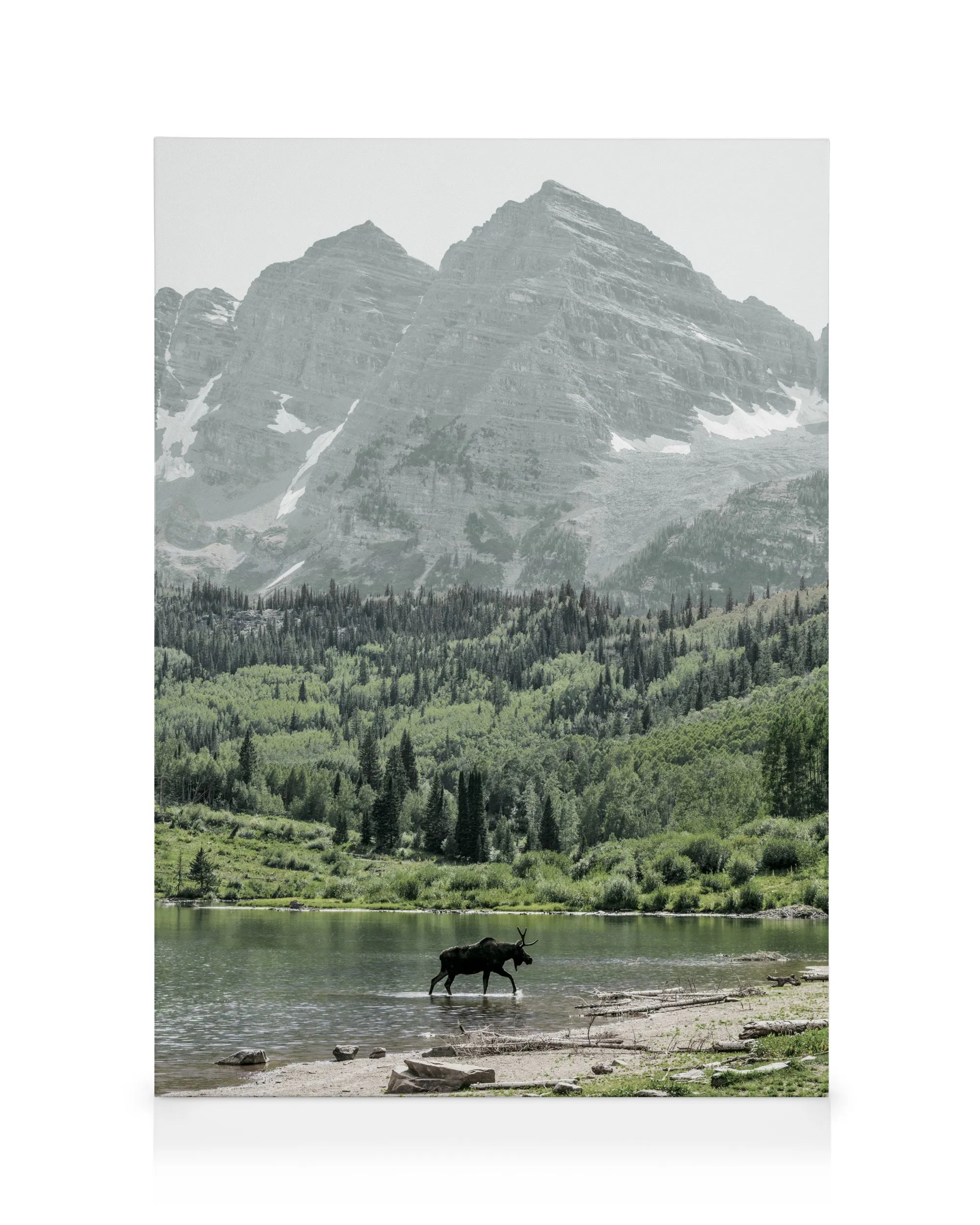 Alpes suisses Toile 0