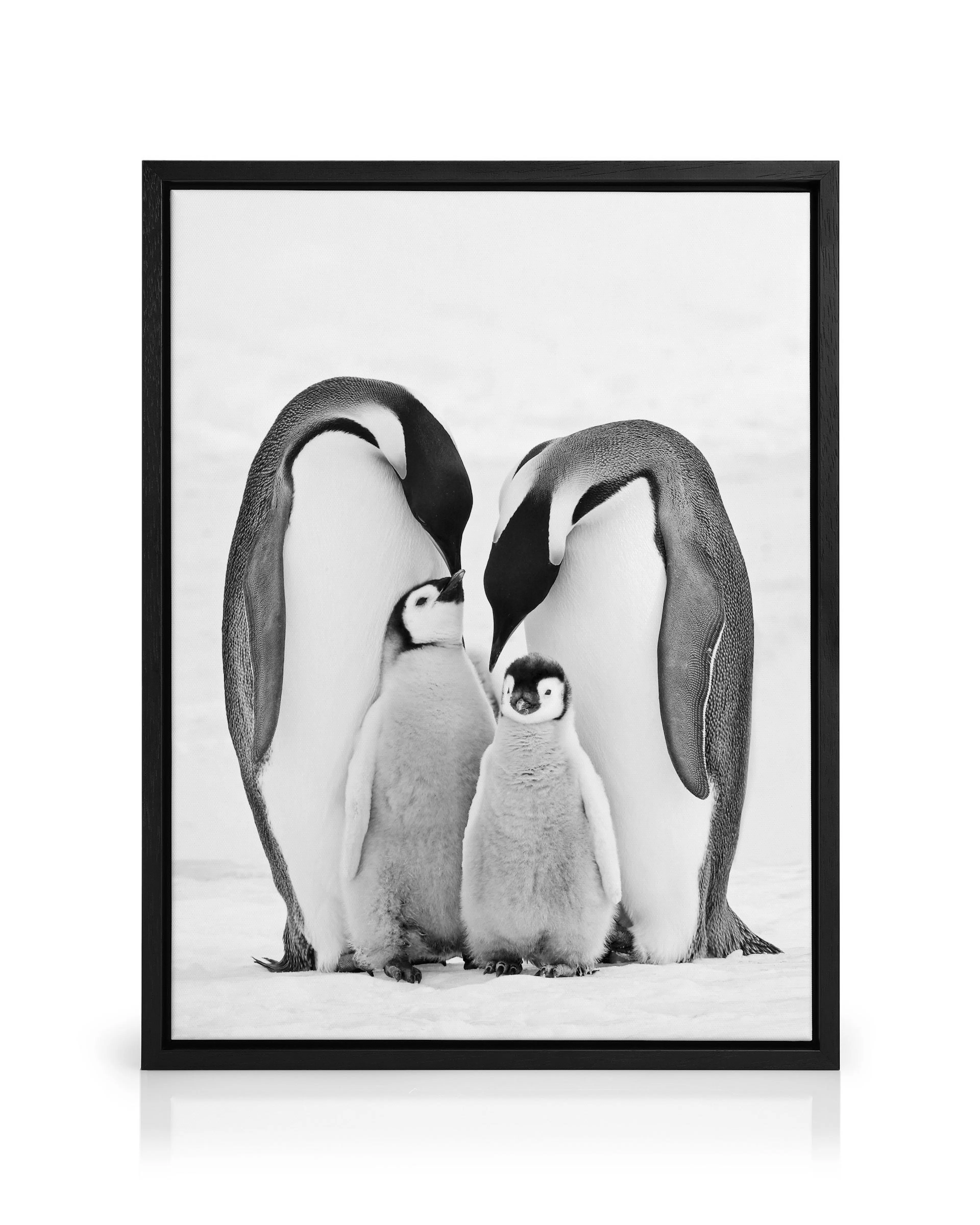 Product image: 1