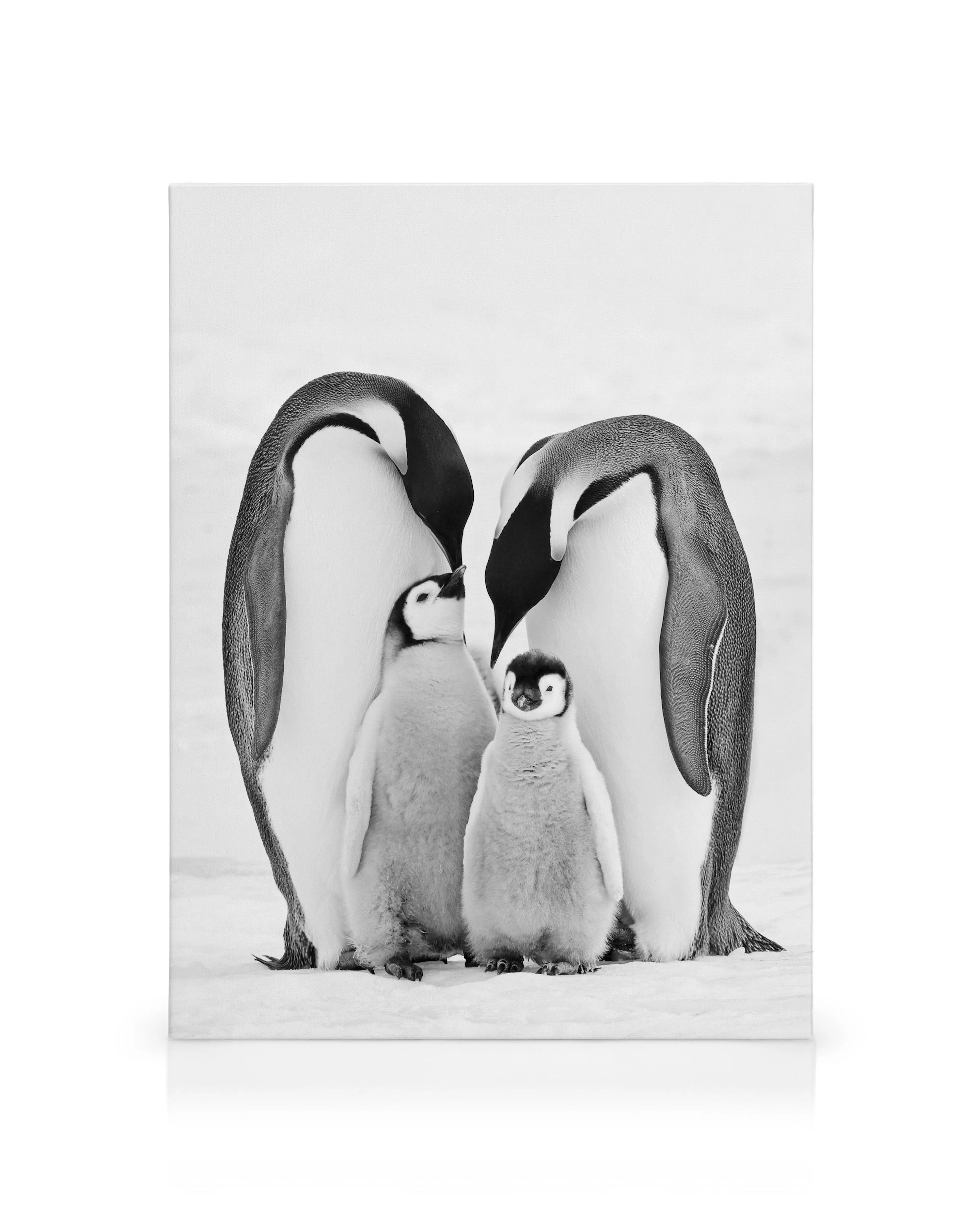 Product image: 1