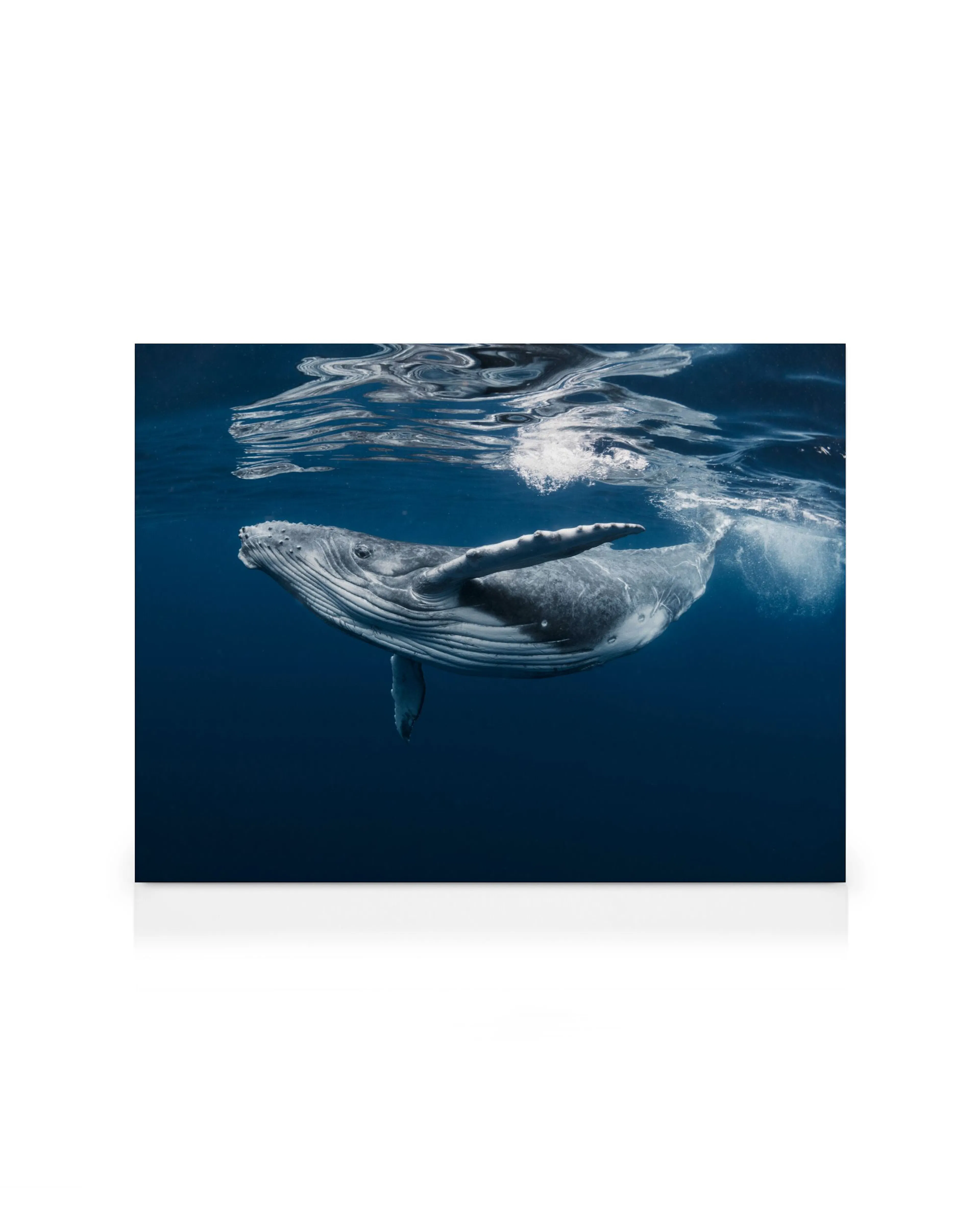 Product image: 1
