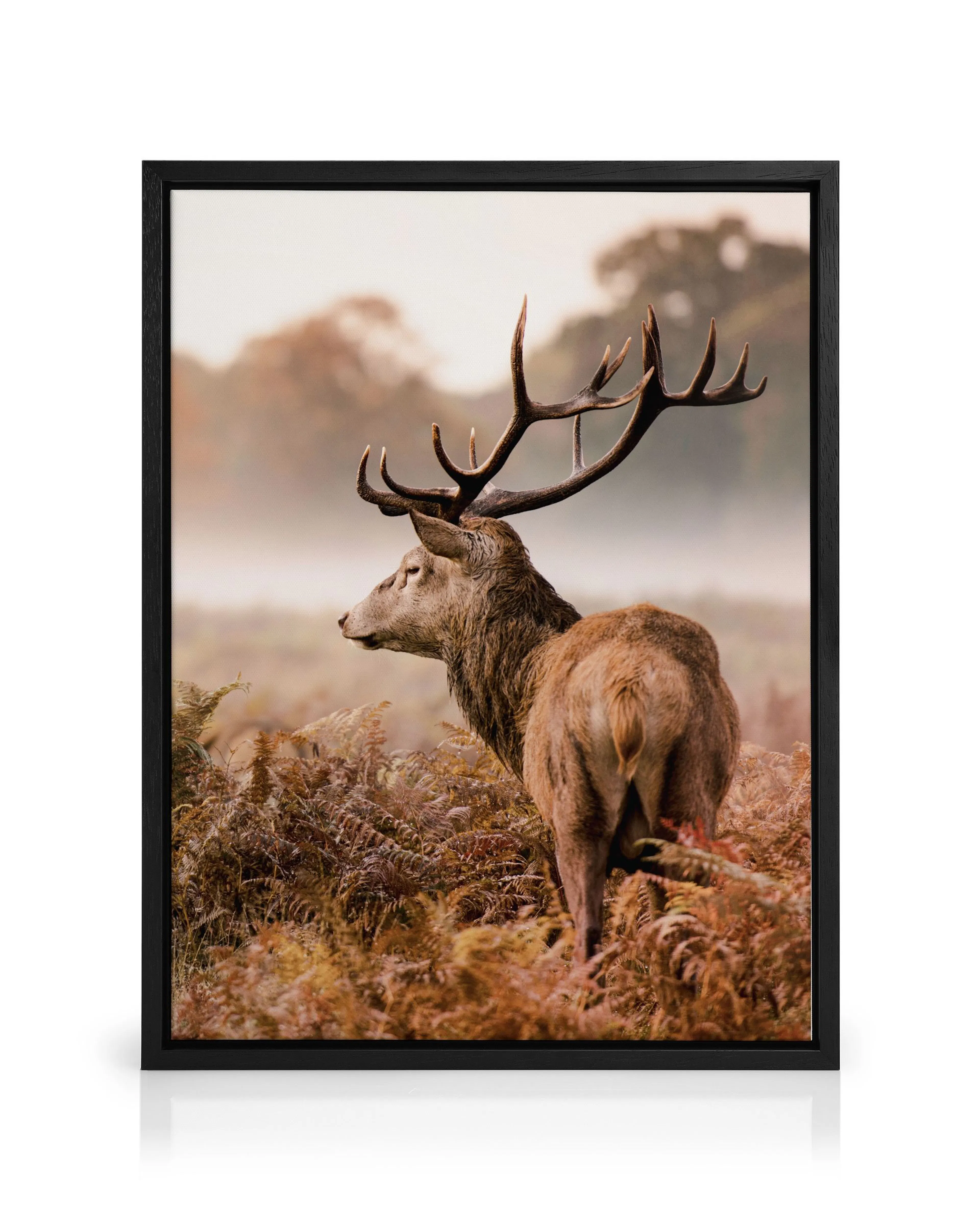 Product image: 1