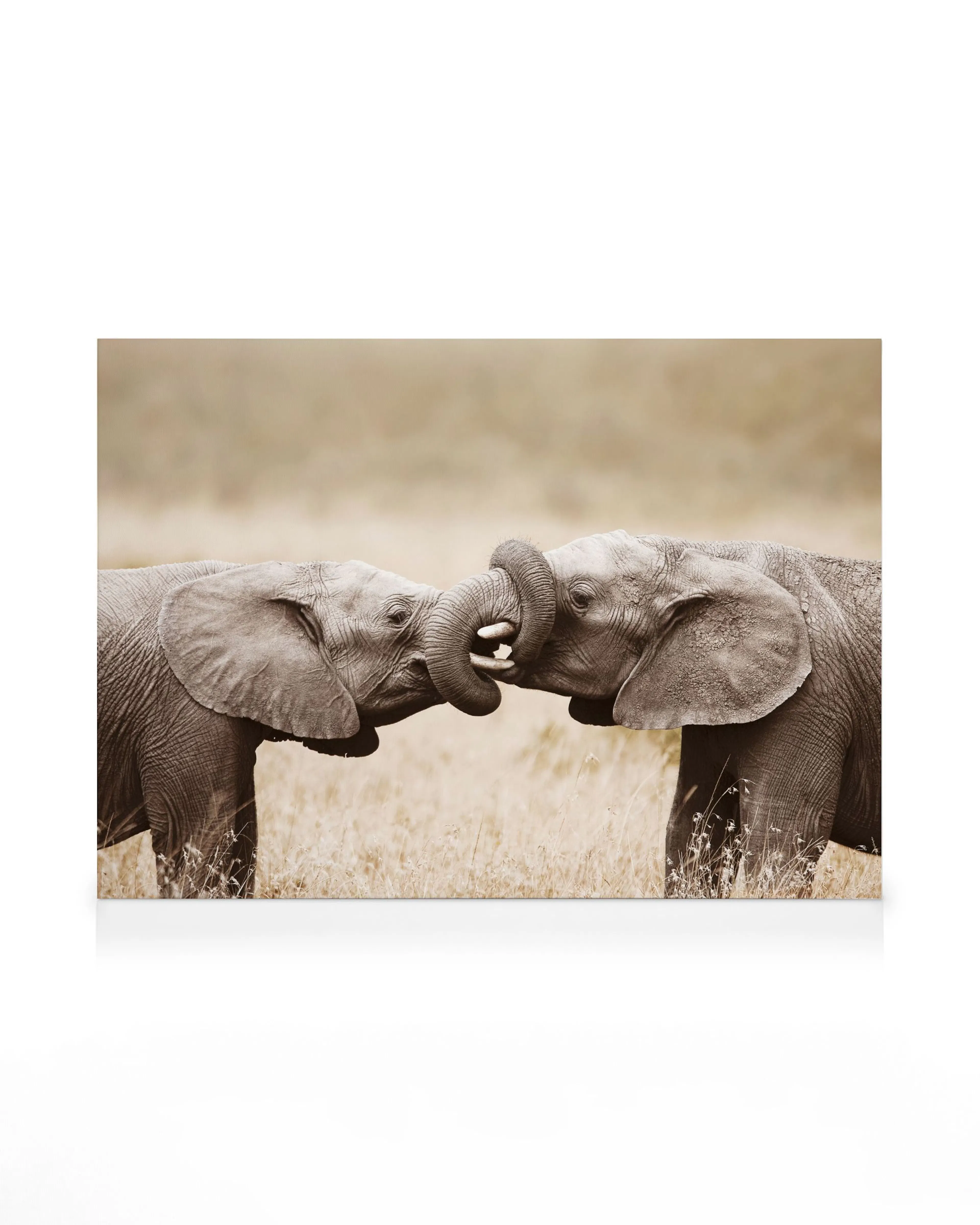 Product image: 1
