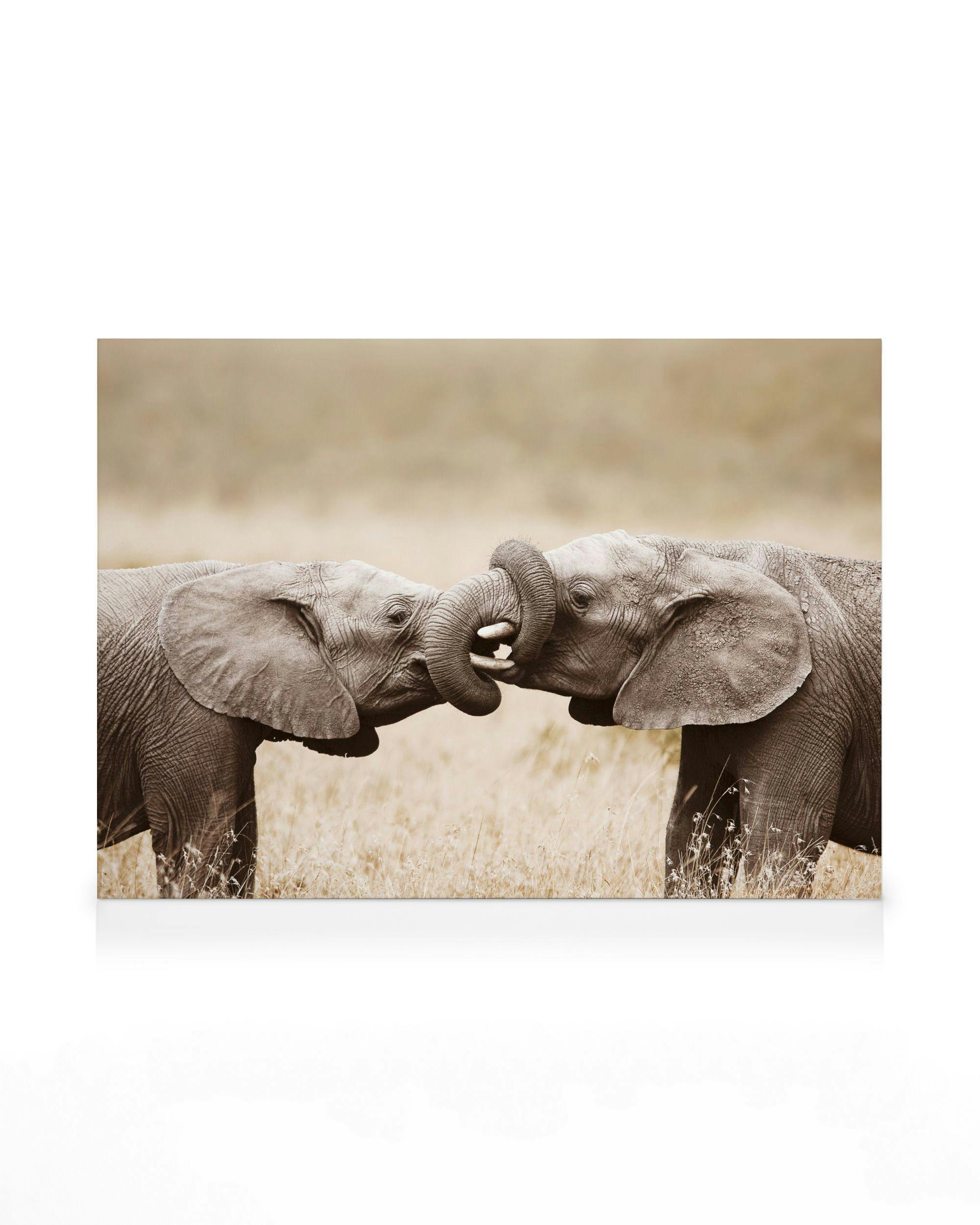 Olifantenspel Canvas Schilderij (70x100 cm - Fotolijst Zwart) - Poster Store