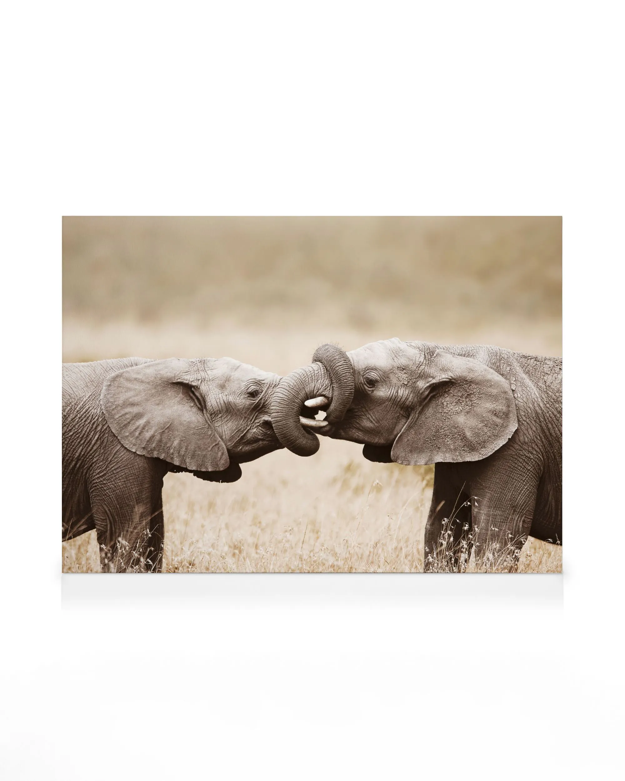 Jeu d'Éléphant Toile 0