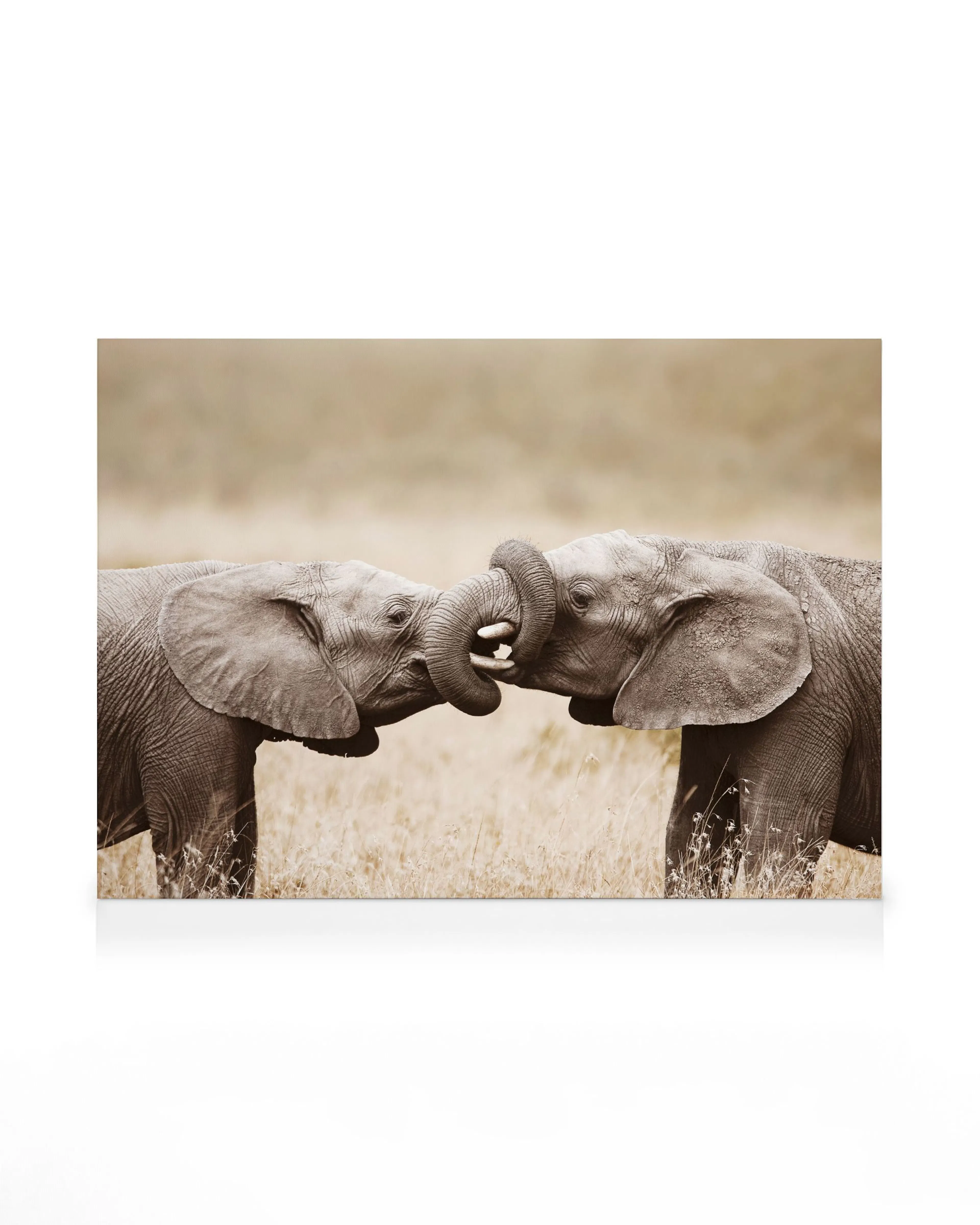 Jeu d'Éléphant Toile 0