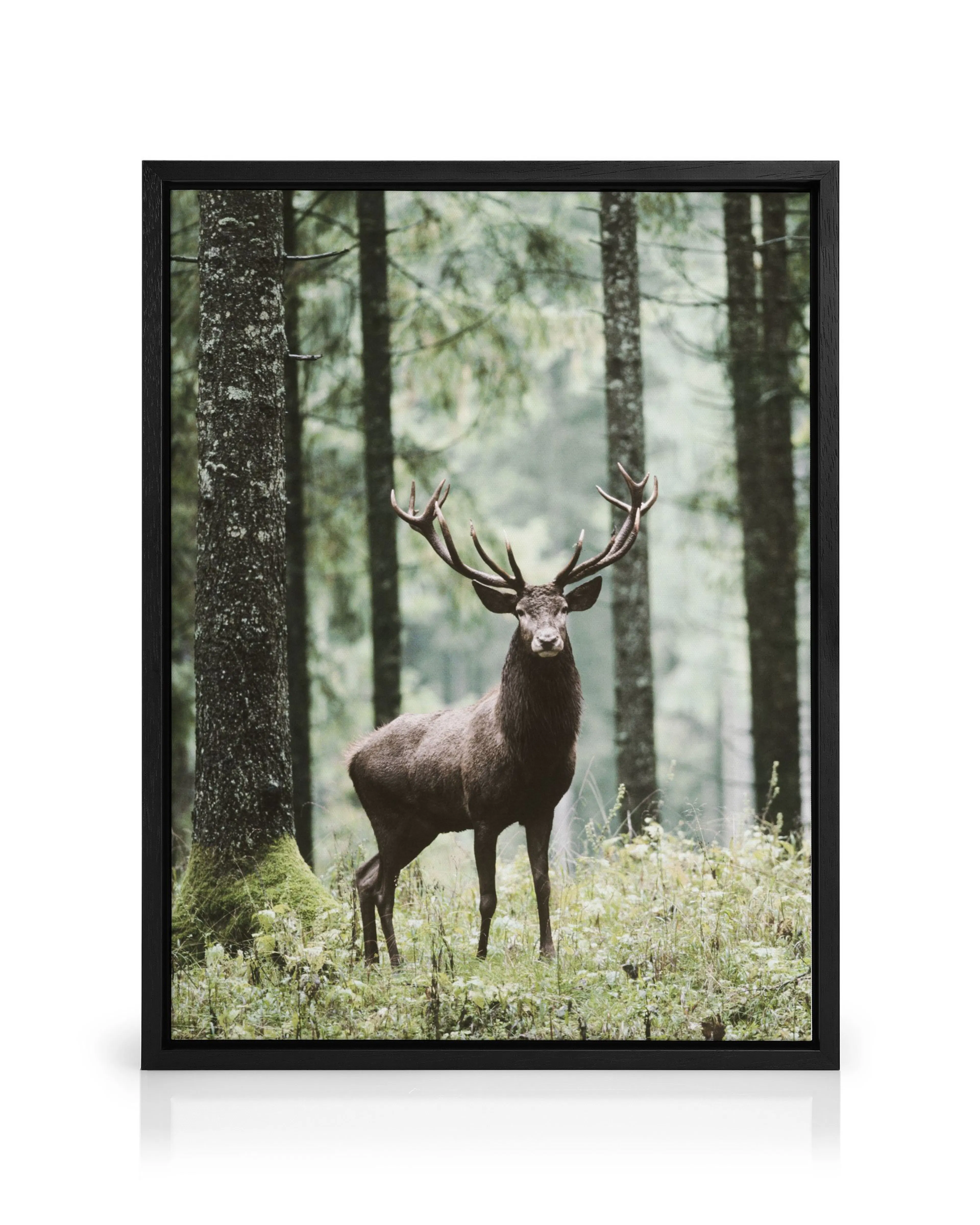 Product image: 1
