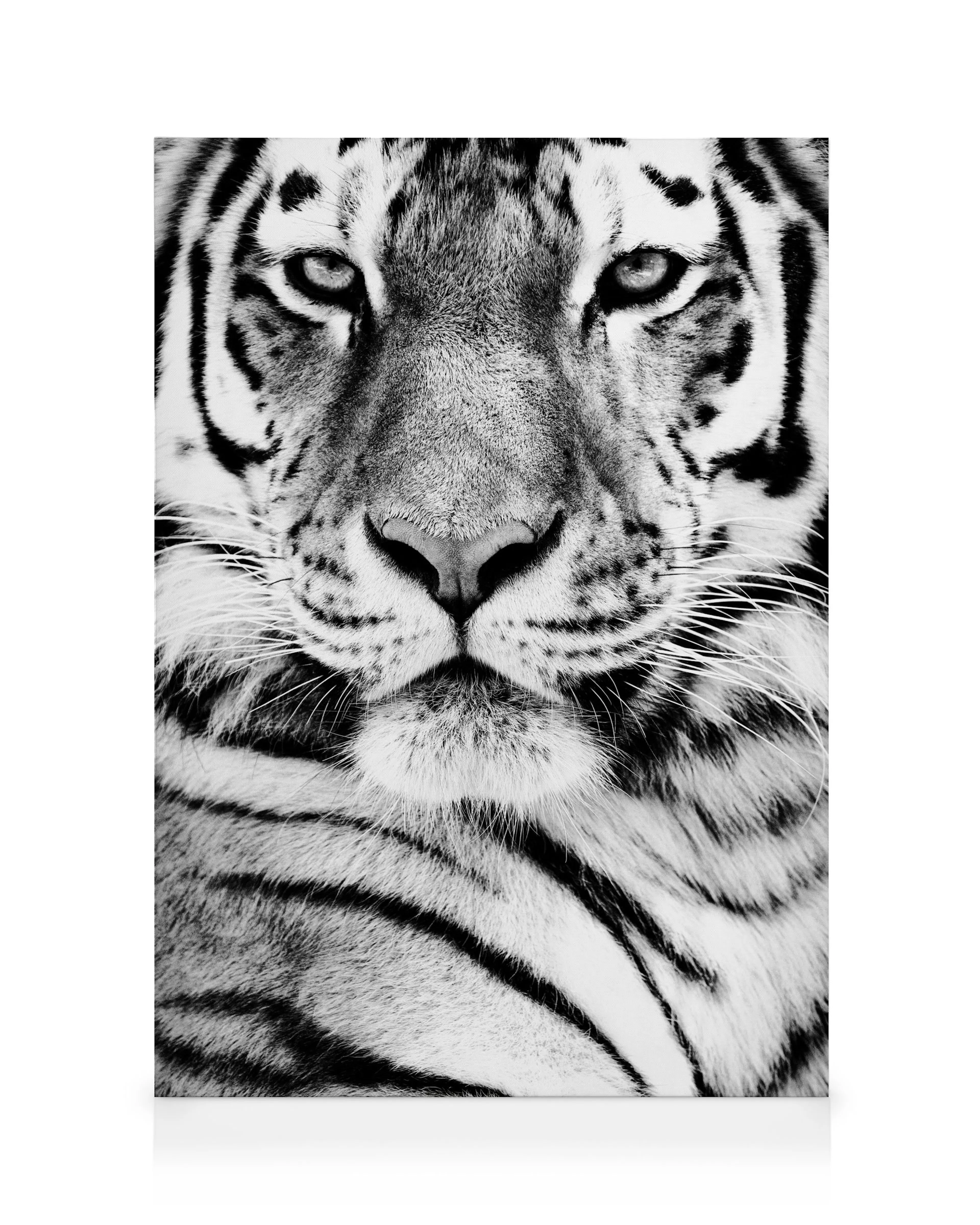 Visage de Tigre toile 0