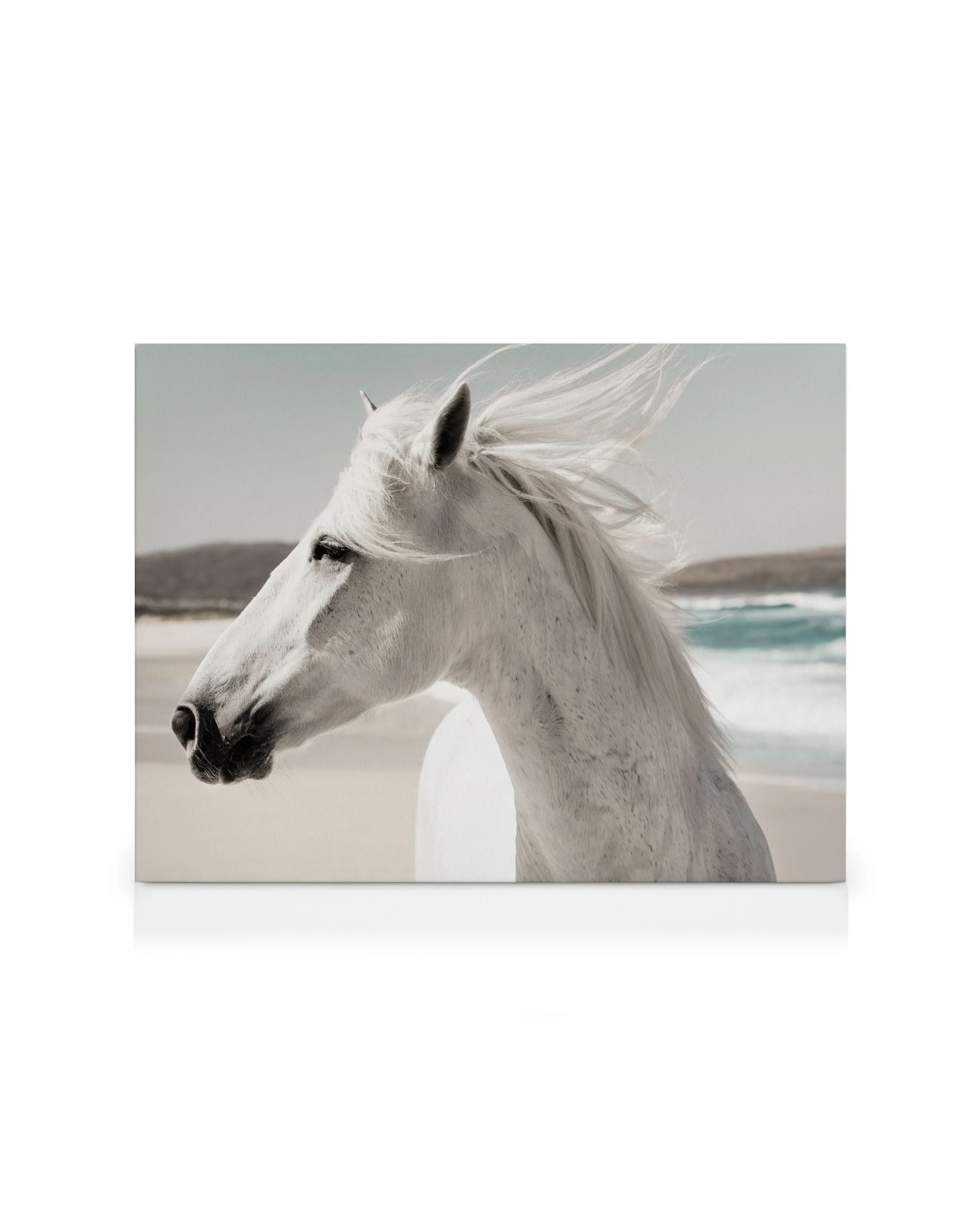 Product image: 1