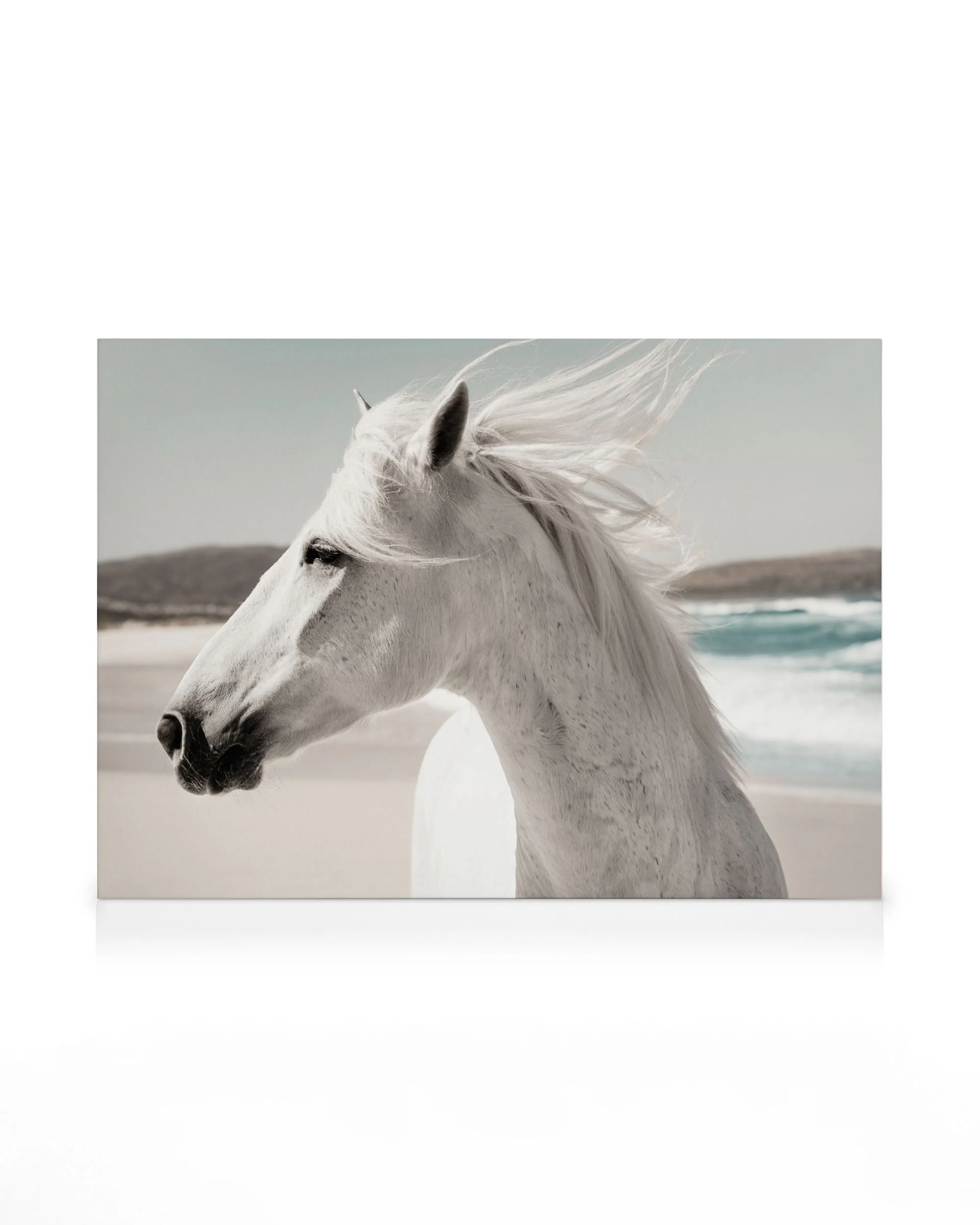 Product image: 1
