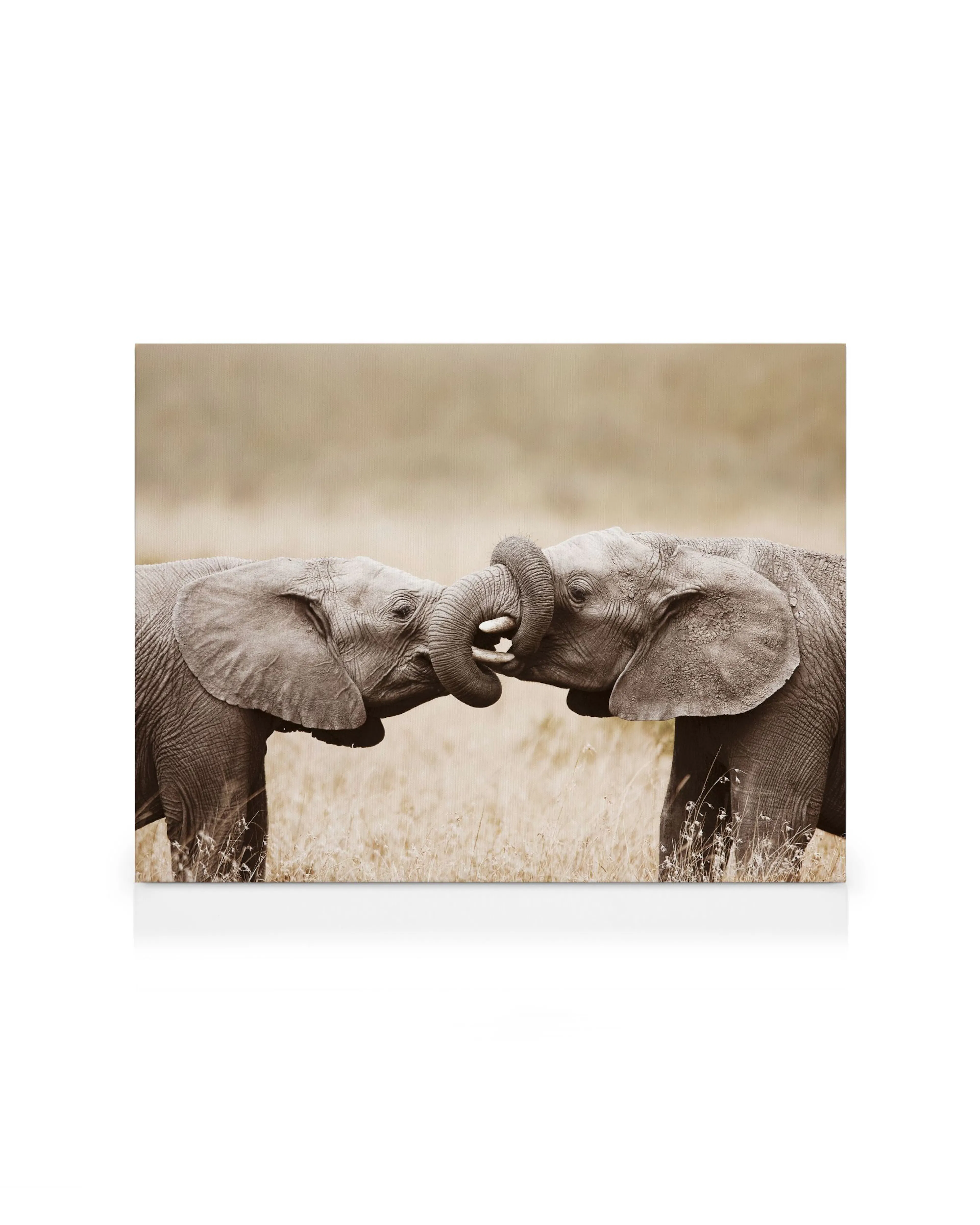 Product image: 1