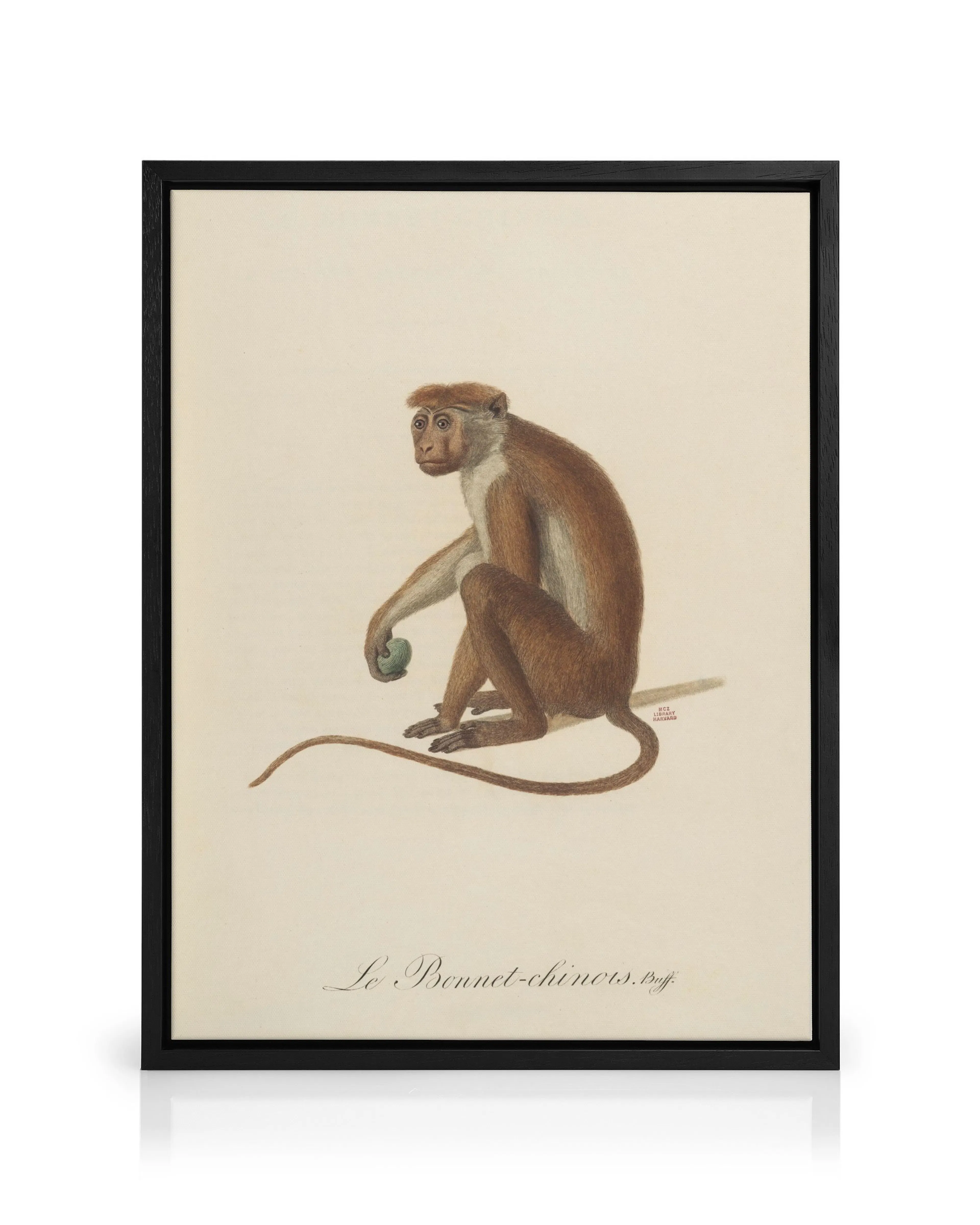 Product image: 1
