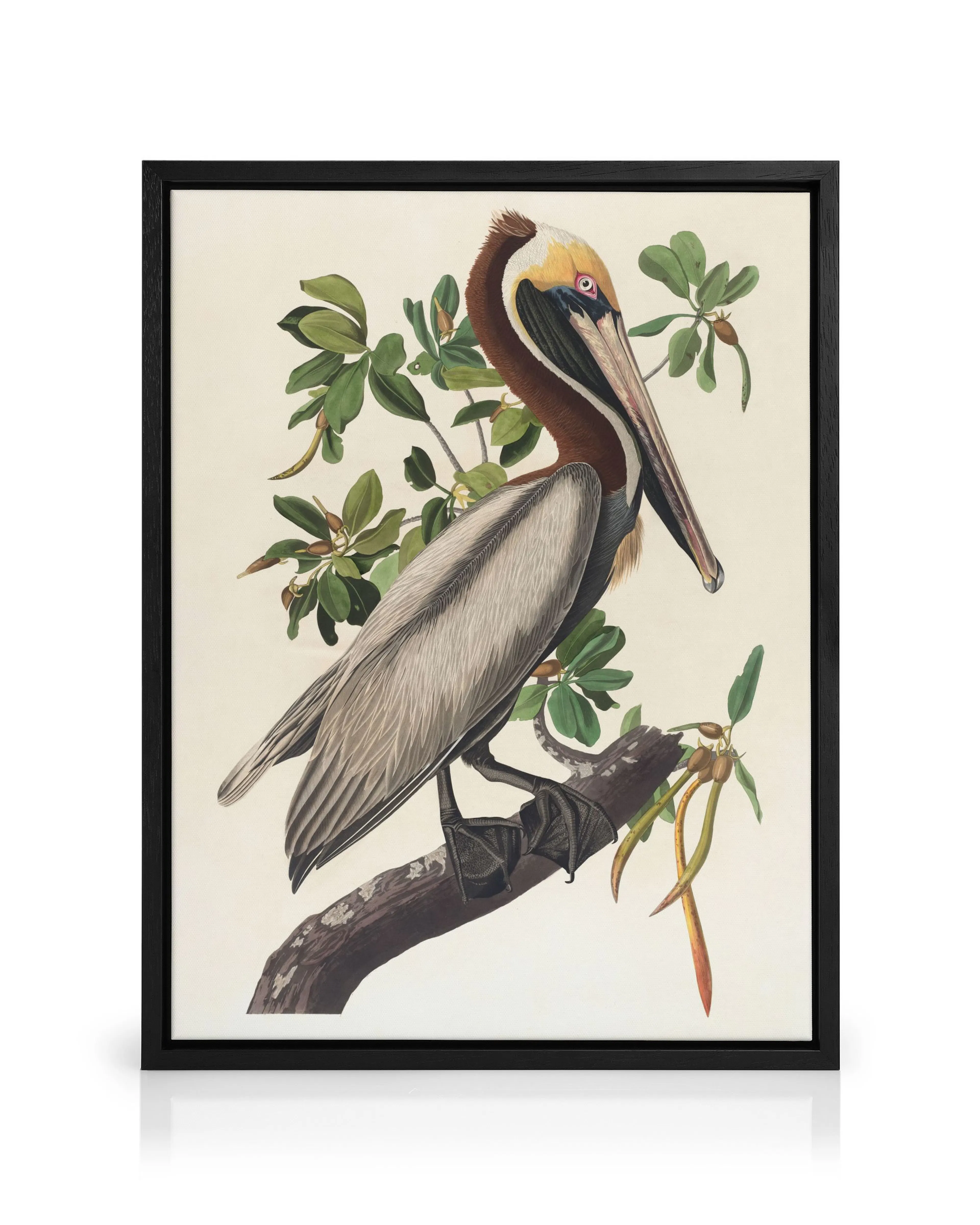 Product image: 1