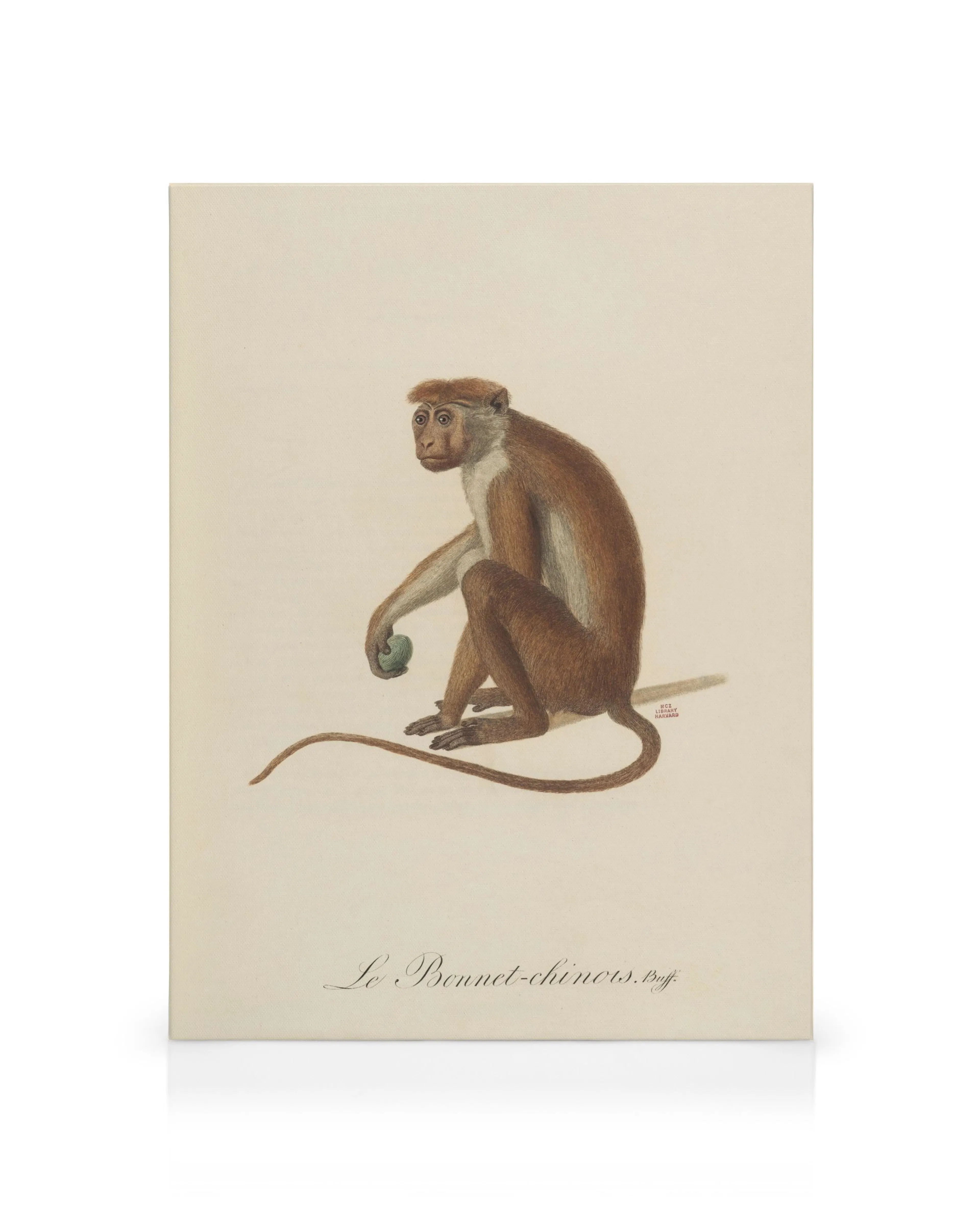 Product image: 1